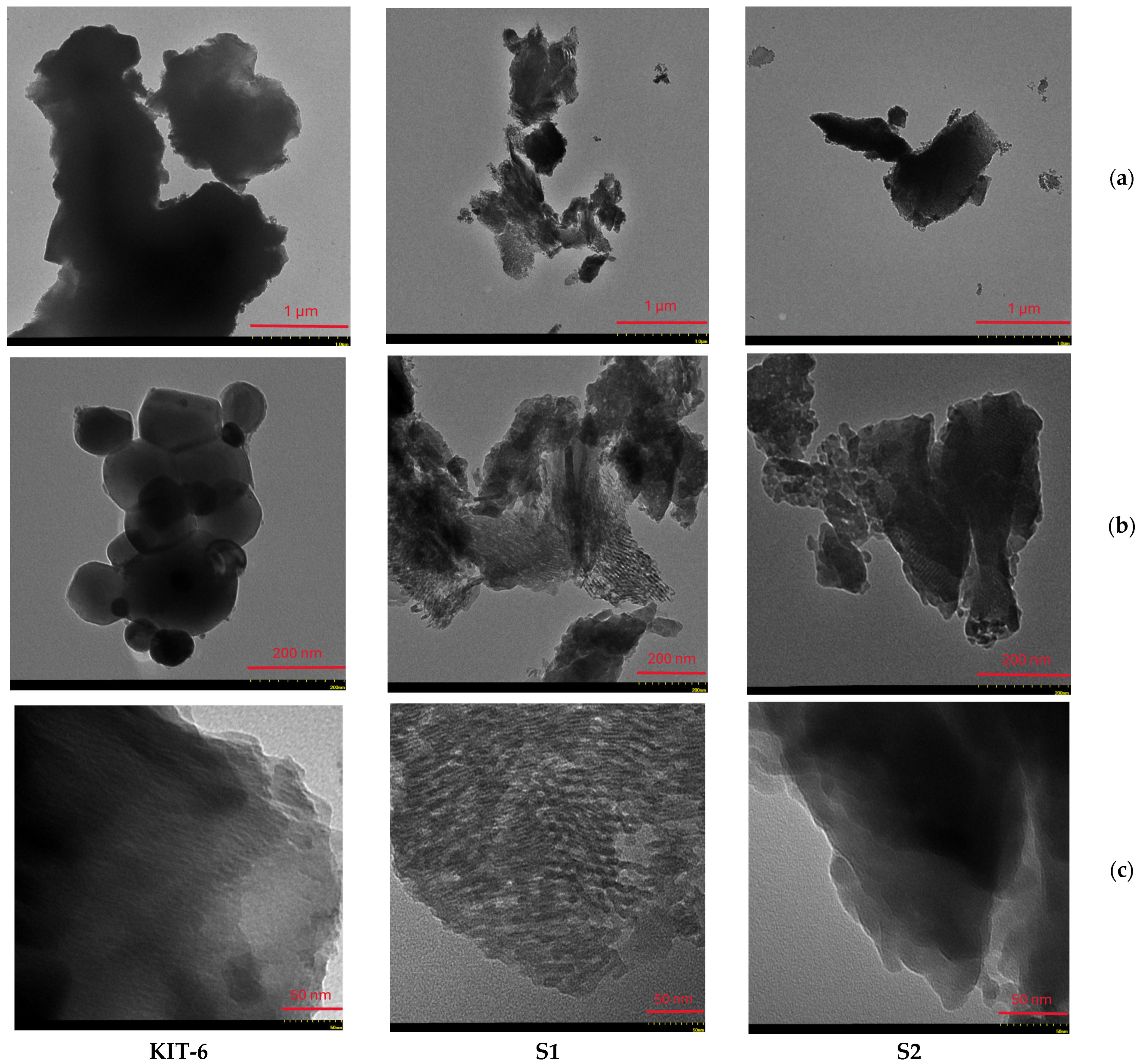 Pharmaceutics 17 00882 g002