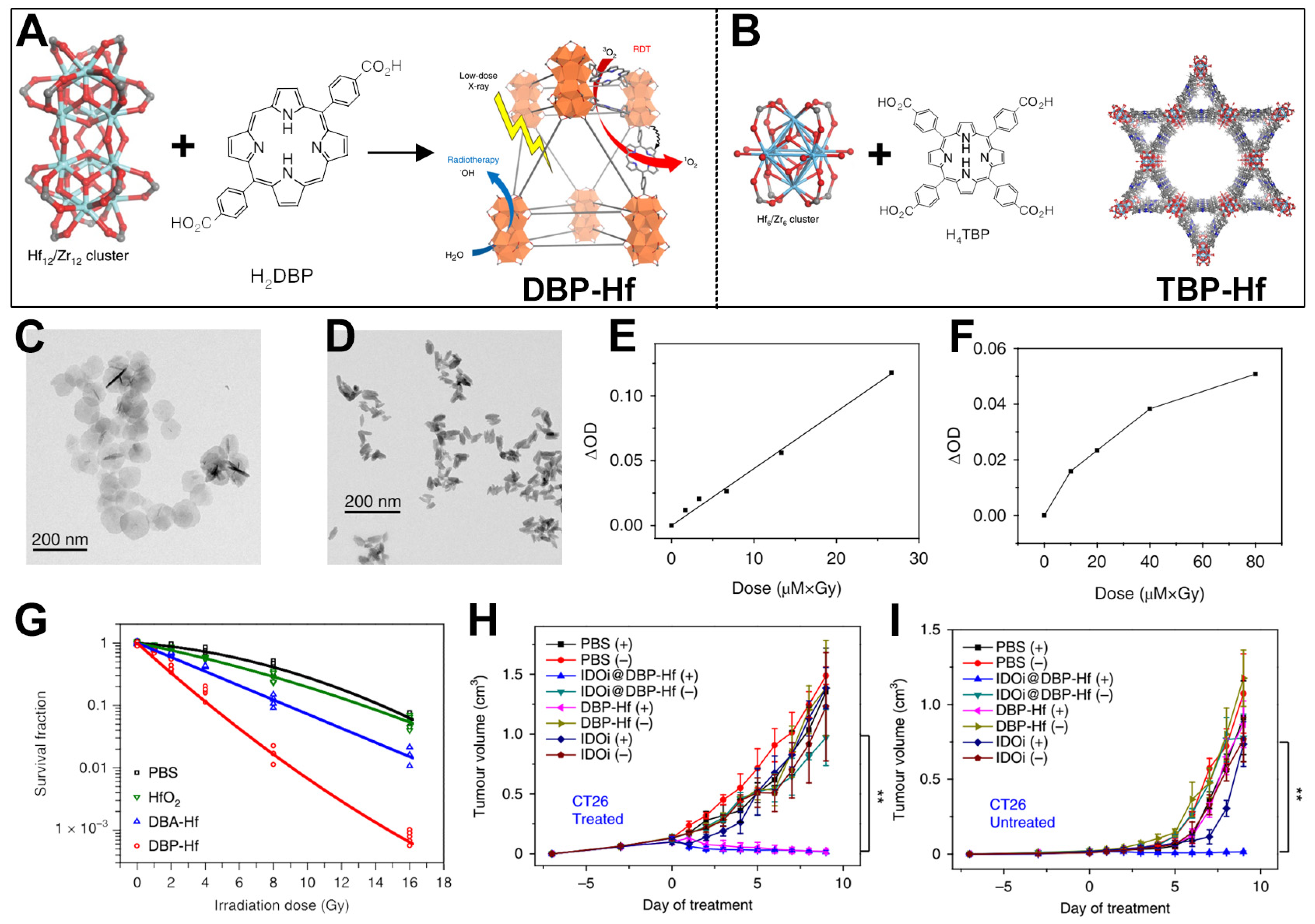 Pharmaceutics 17 00883 g003