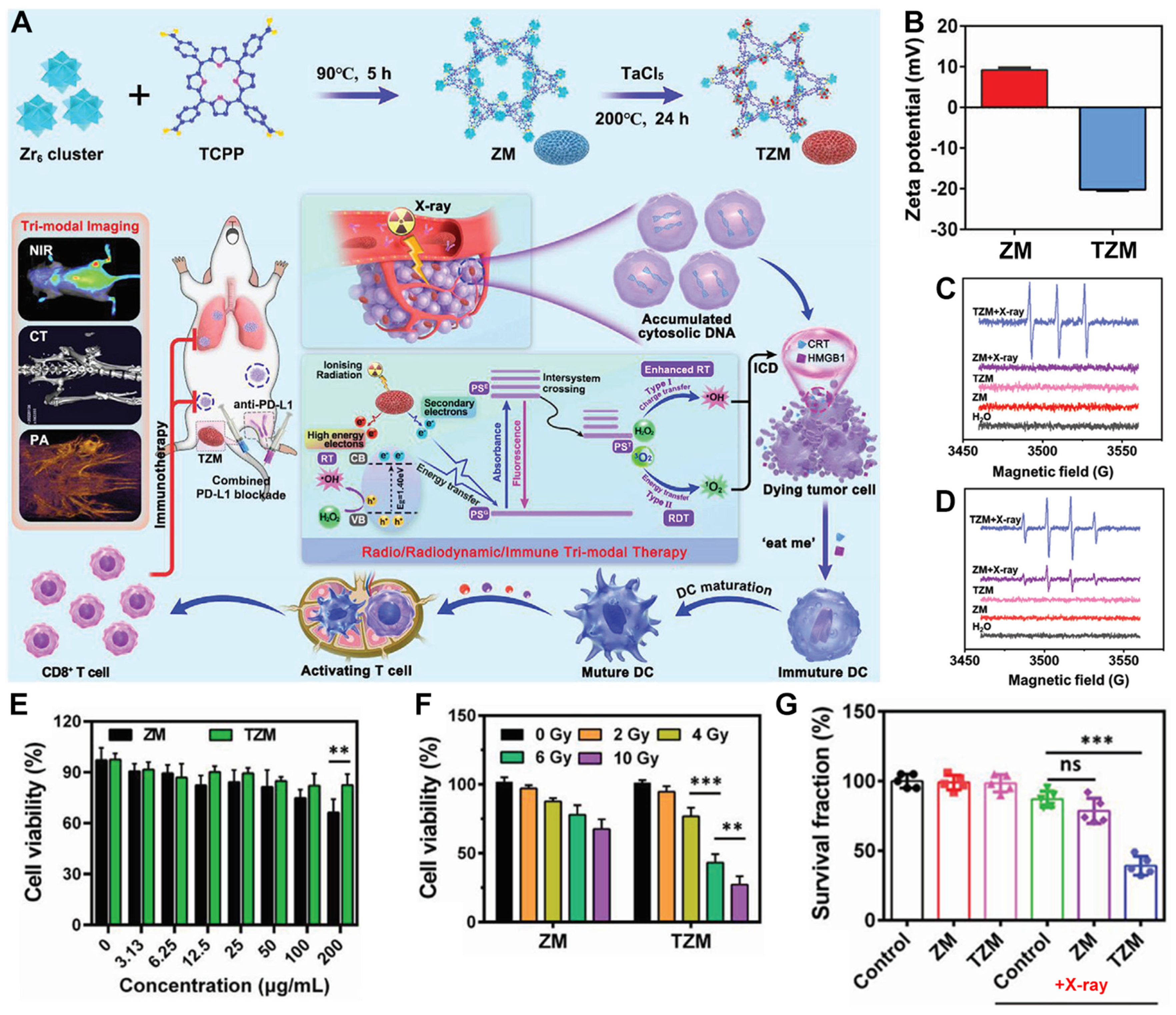 Pharmaceutics 17 00883 g004