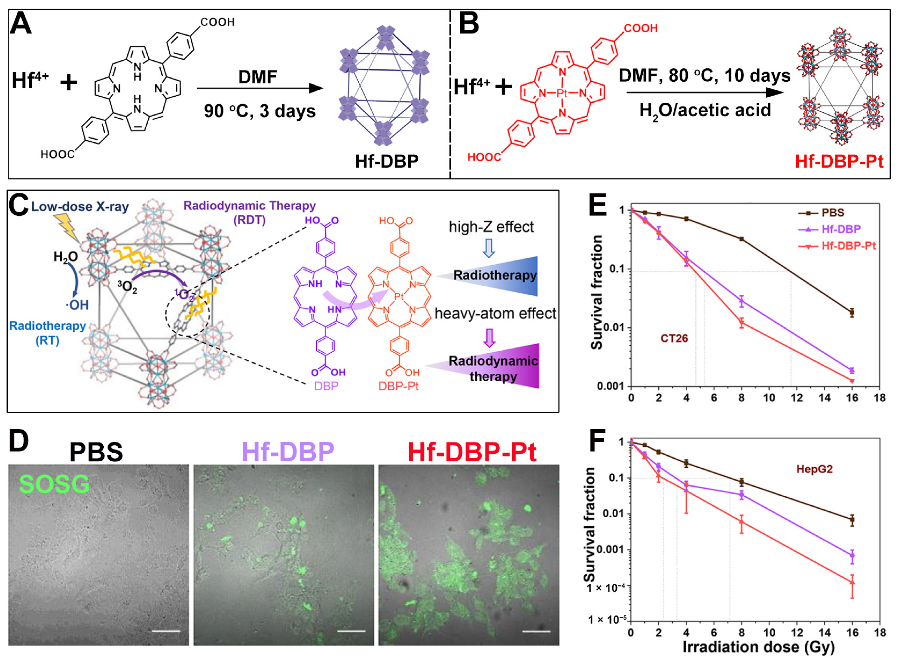 Pharmaceutics 17 00883 g007