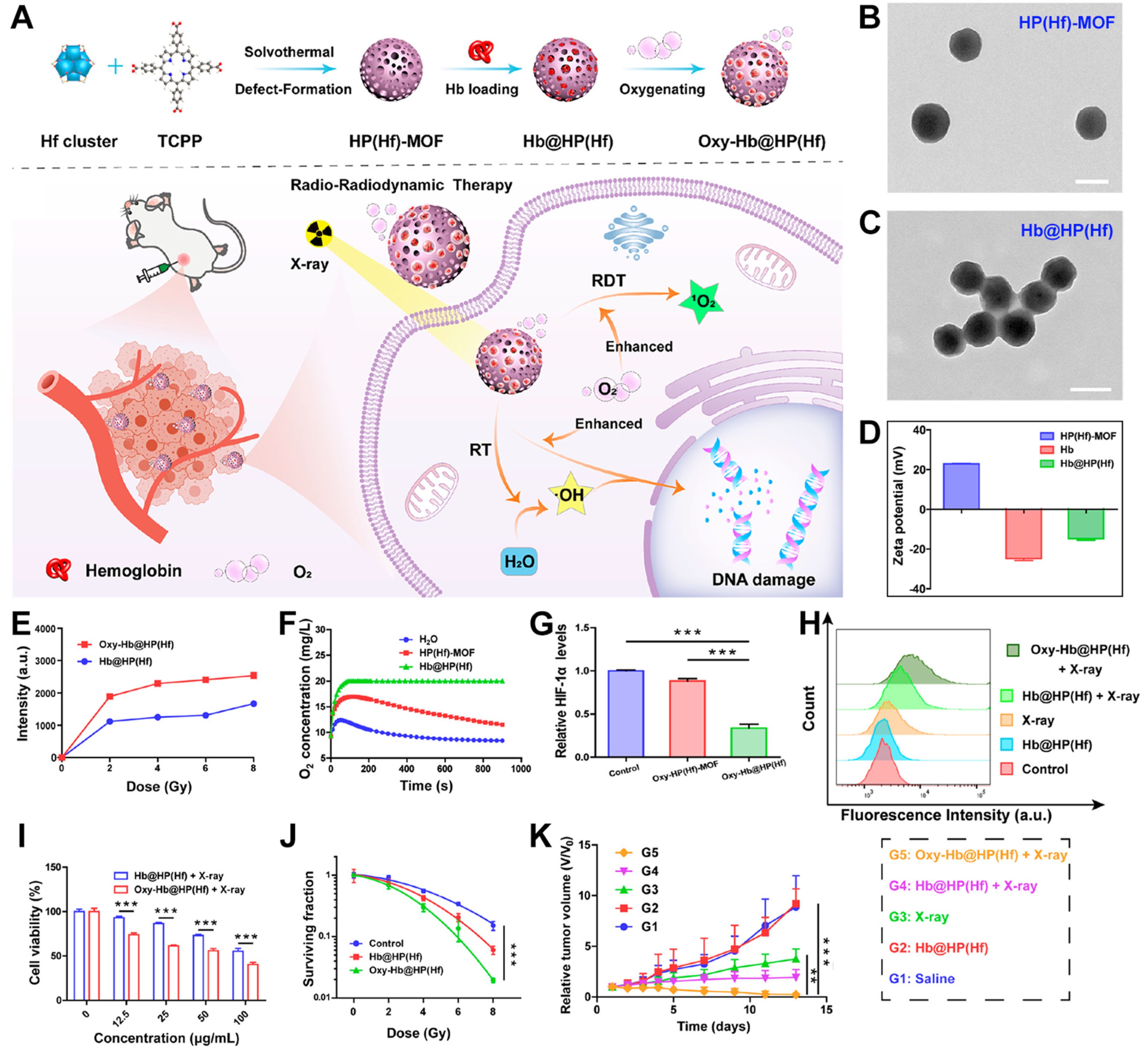 Pharmaceutics 17 00883 g008