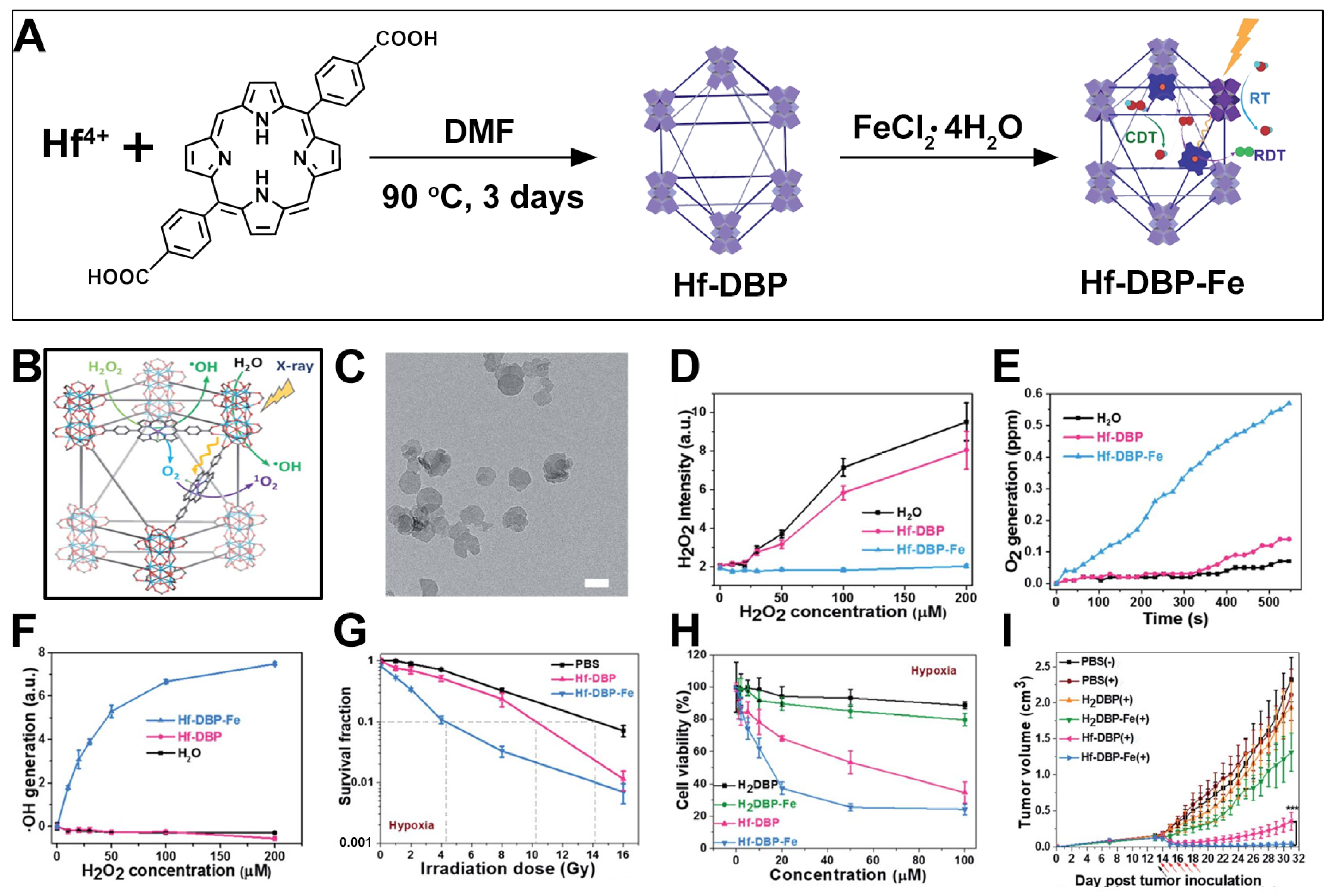 Pharmaceutics 17 00883 g009