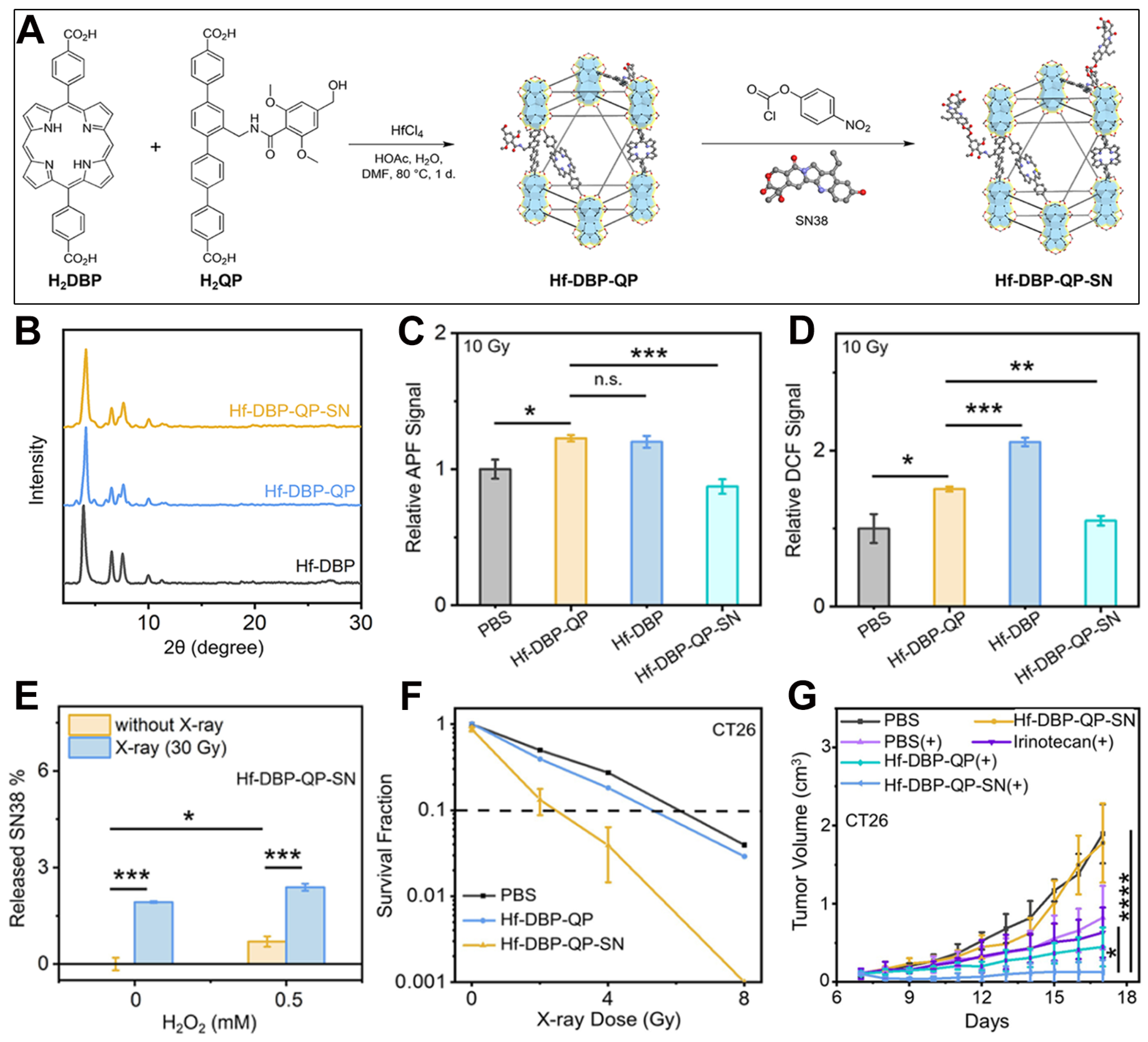 Pharmaceutics 17 00883 g010