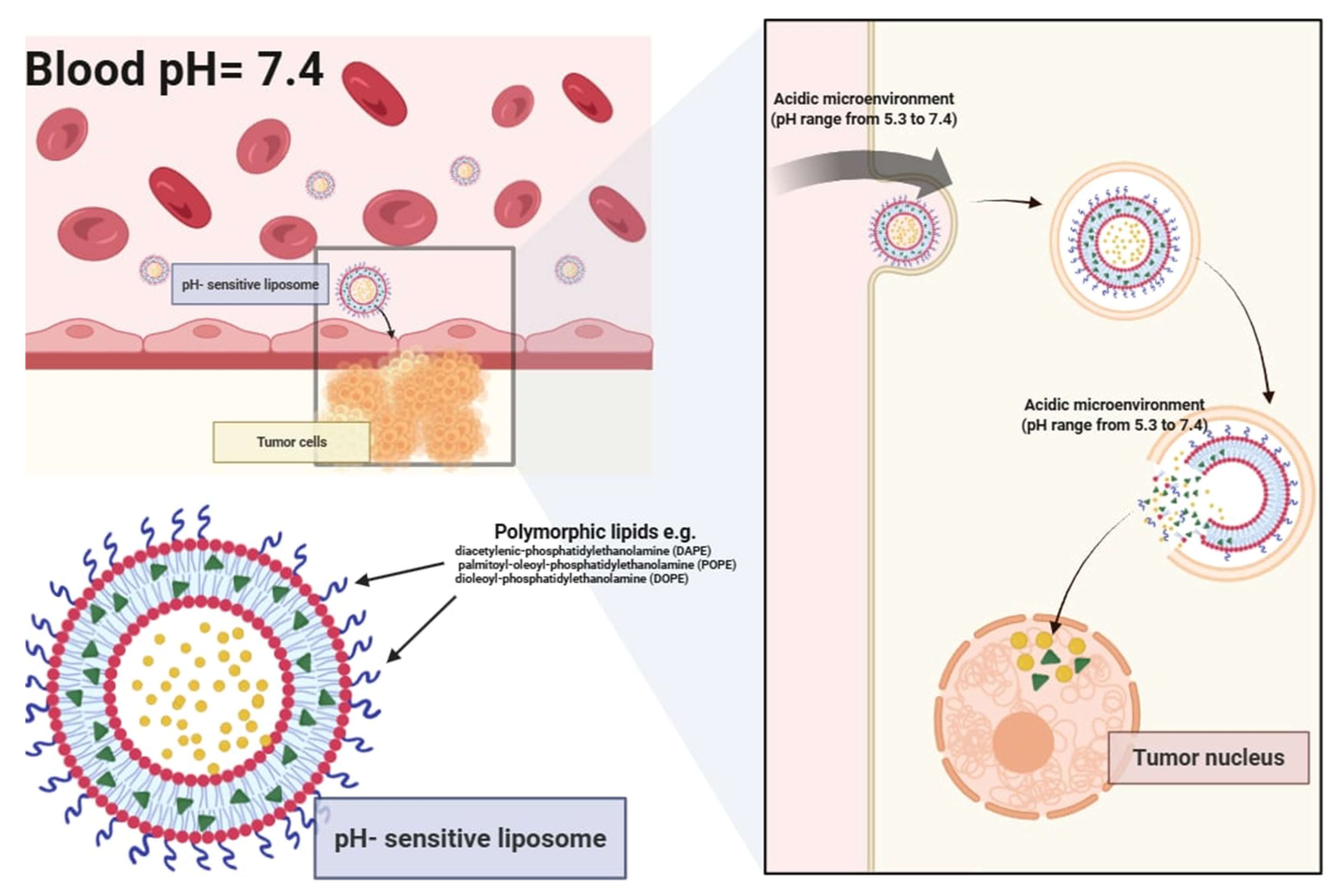 Pharmaceutics 17 00885 g004