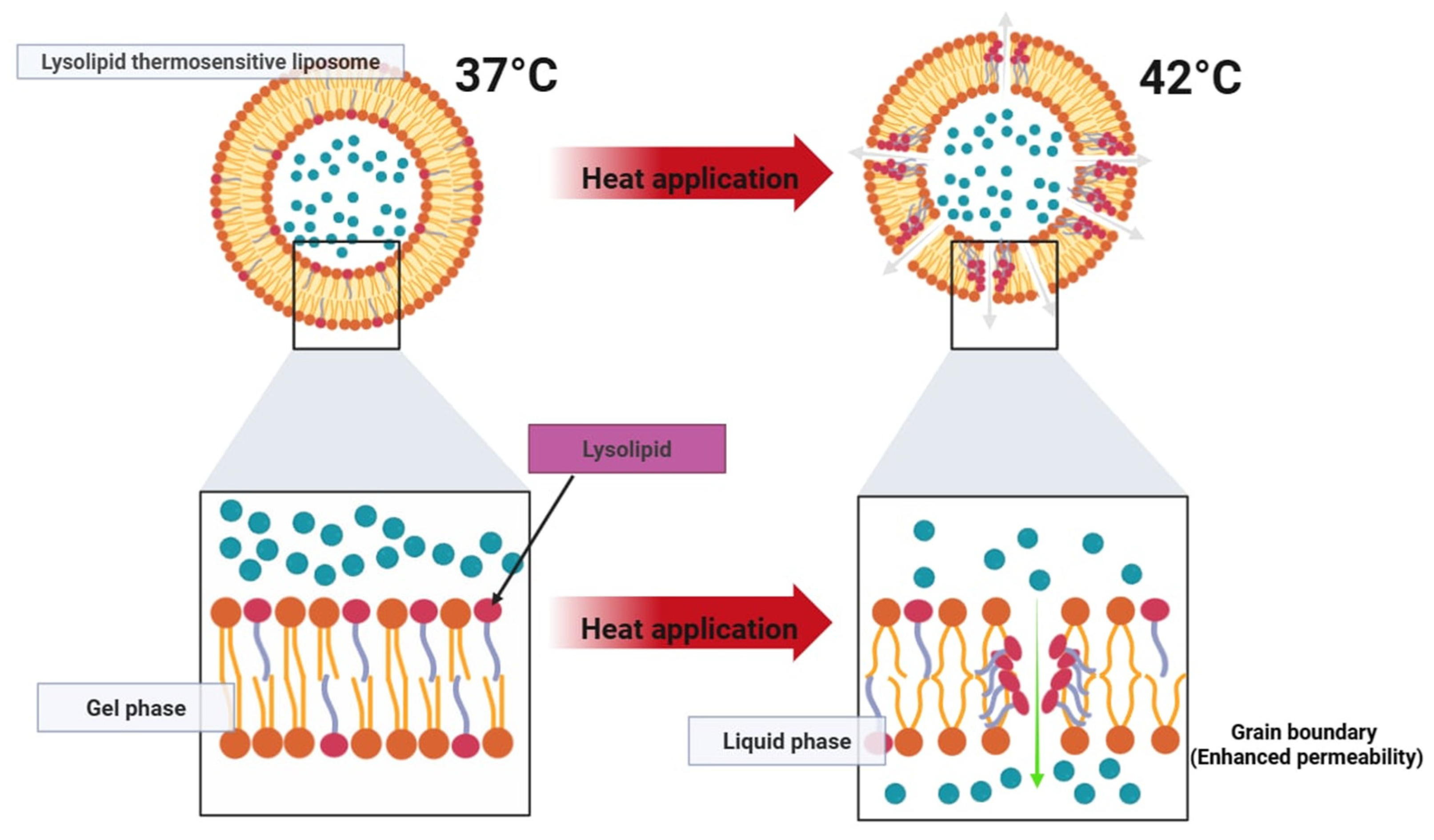 Pharmaceutics 17 00885 g006