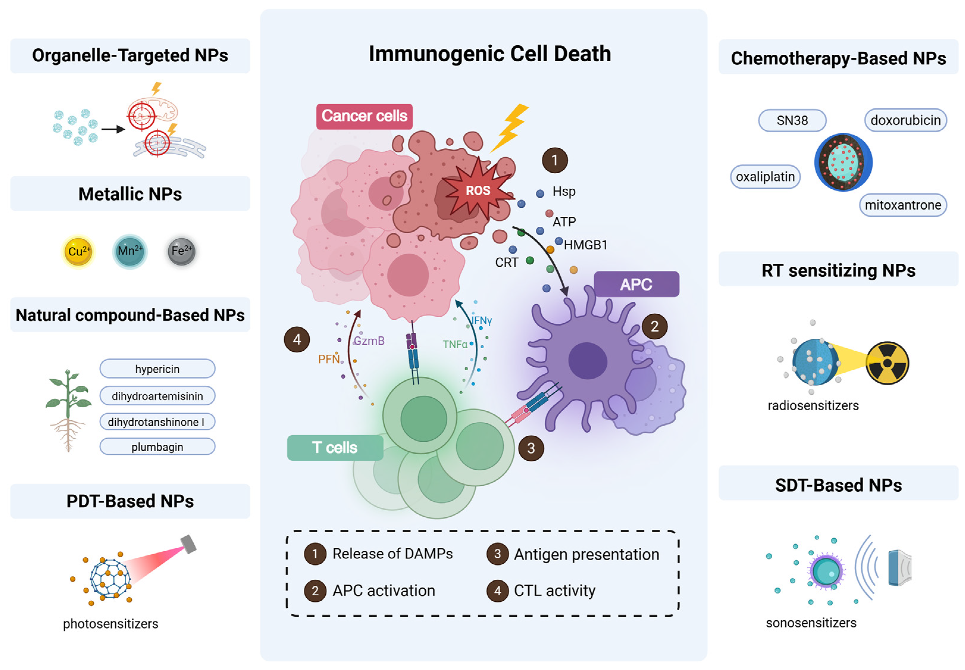 Pharmaceutics 17 00886 g002