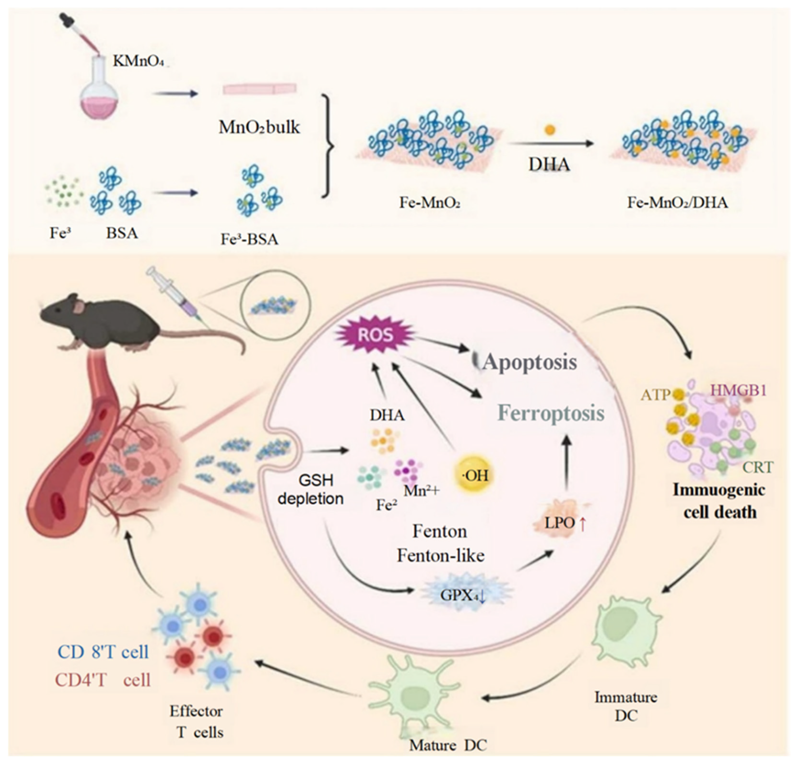 Pharmaceutics 17 00886 g004