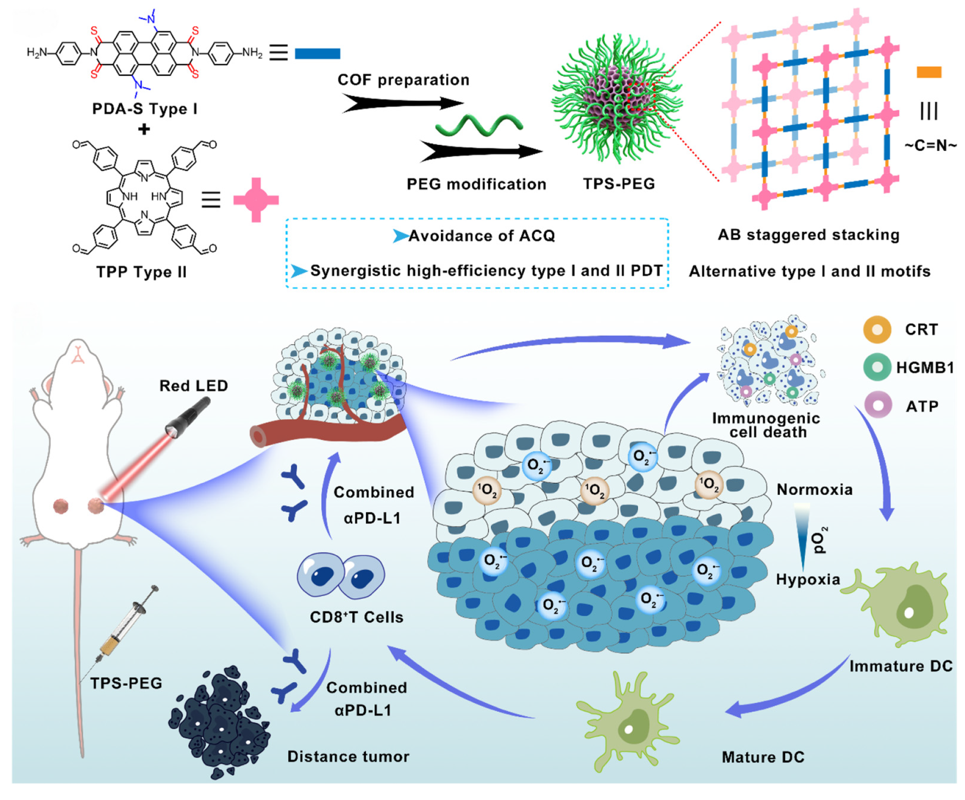Pharmaceutics 17 00886 g005