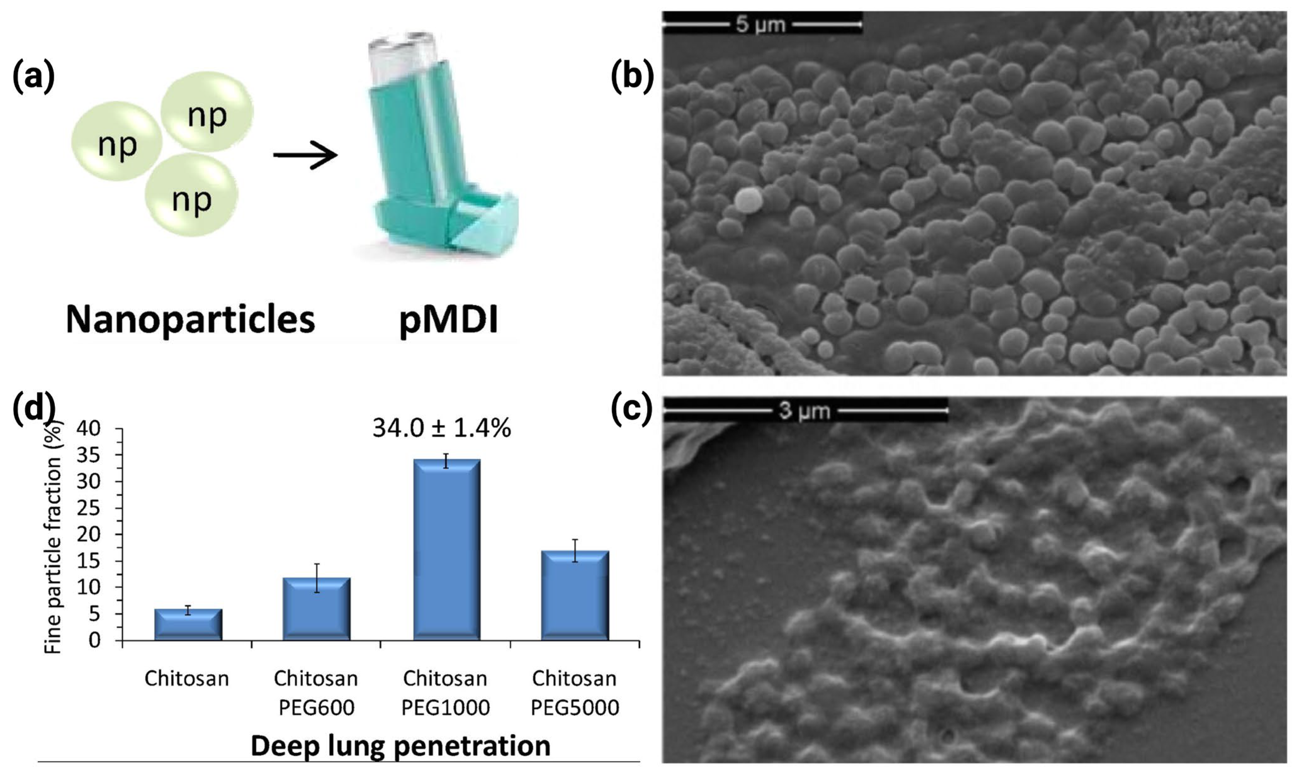 Pharmaceutics 17 00893 g009 Pharmaceutics 17 00893 g009