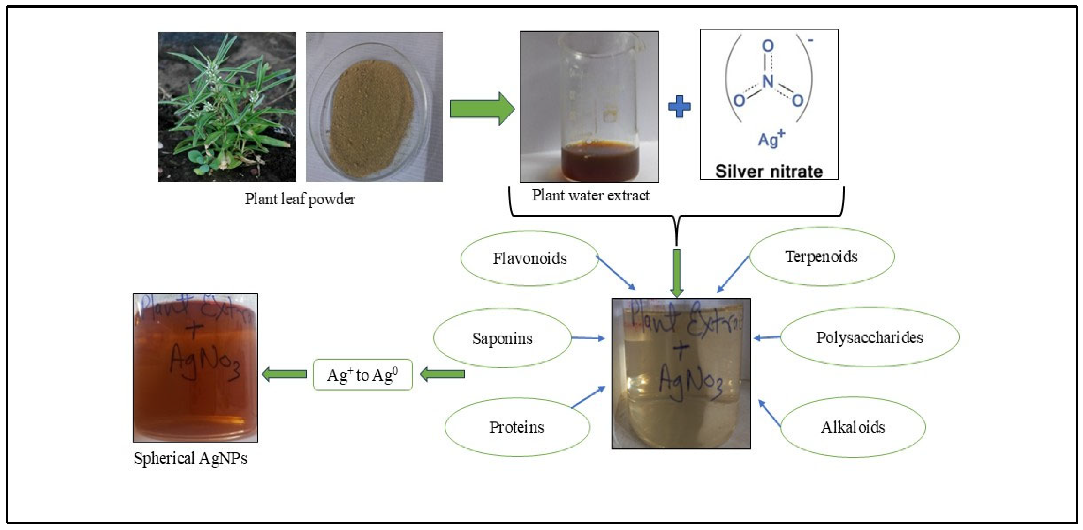 Pharmaceutics 17 00895 g001