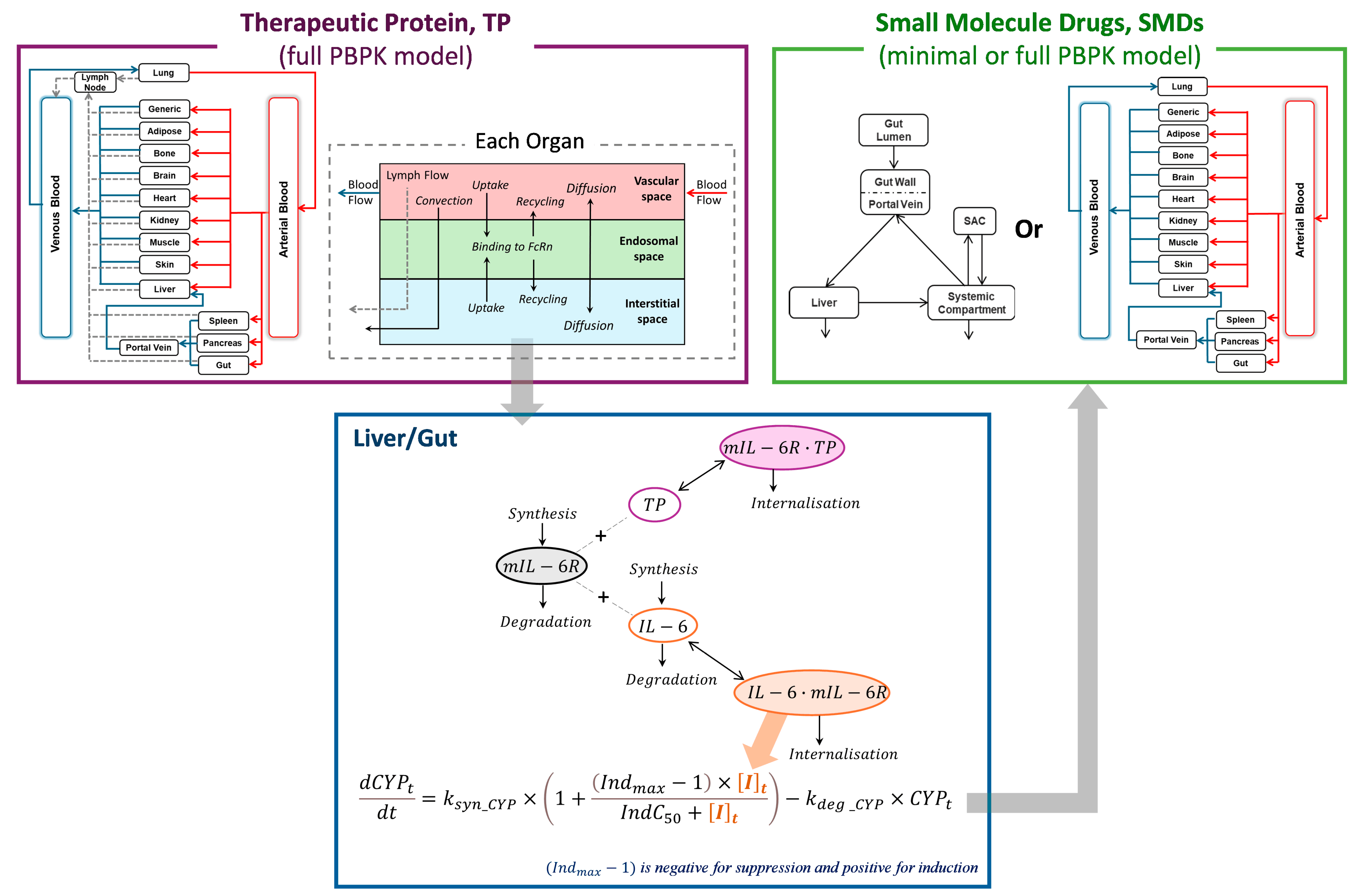 Pharmaceutics 17 00896 g001