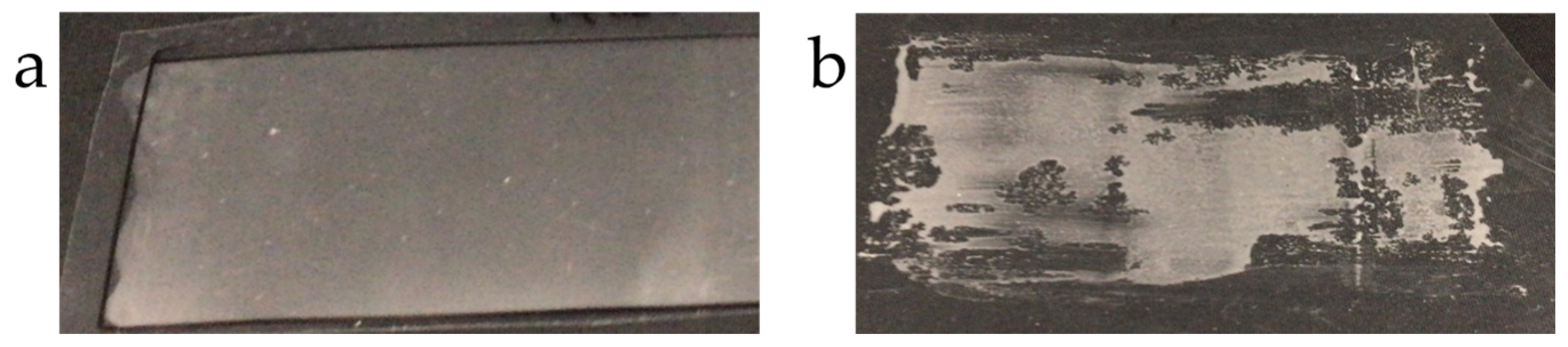 Pharmaceutics 17 00902 g006