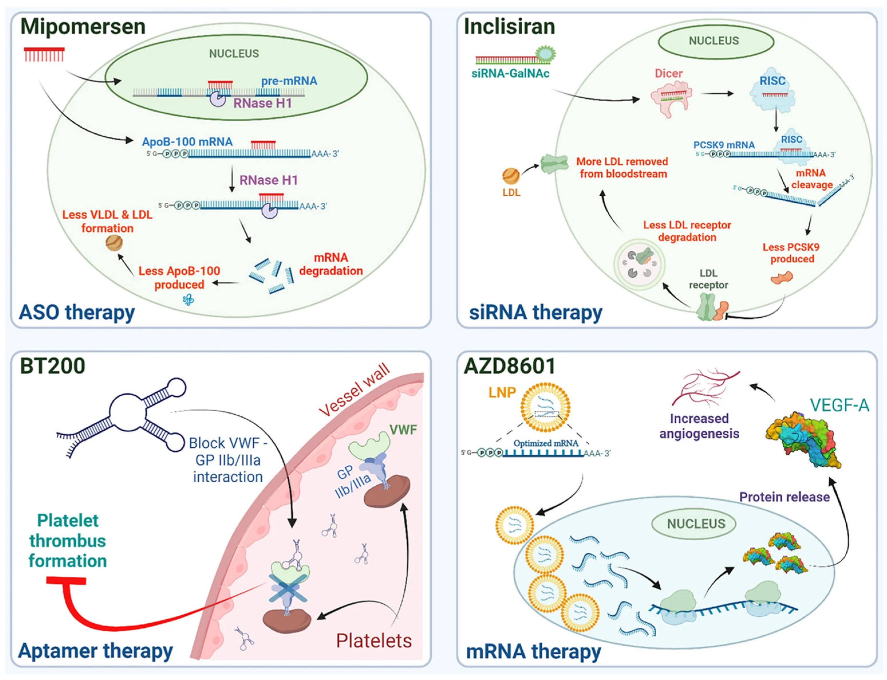 Pharmaceutics 17 00903 g002