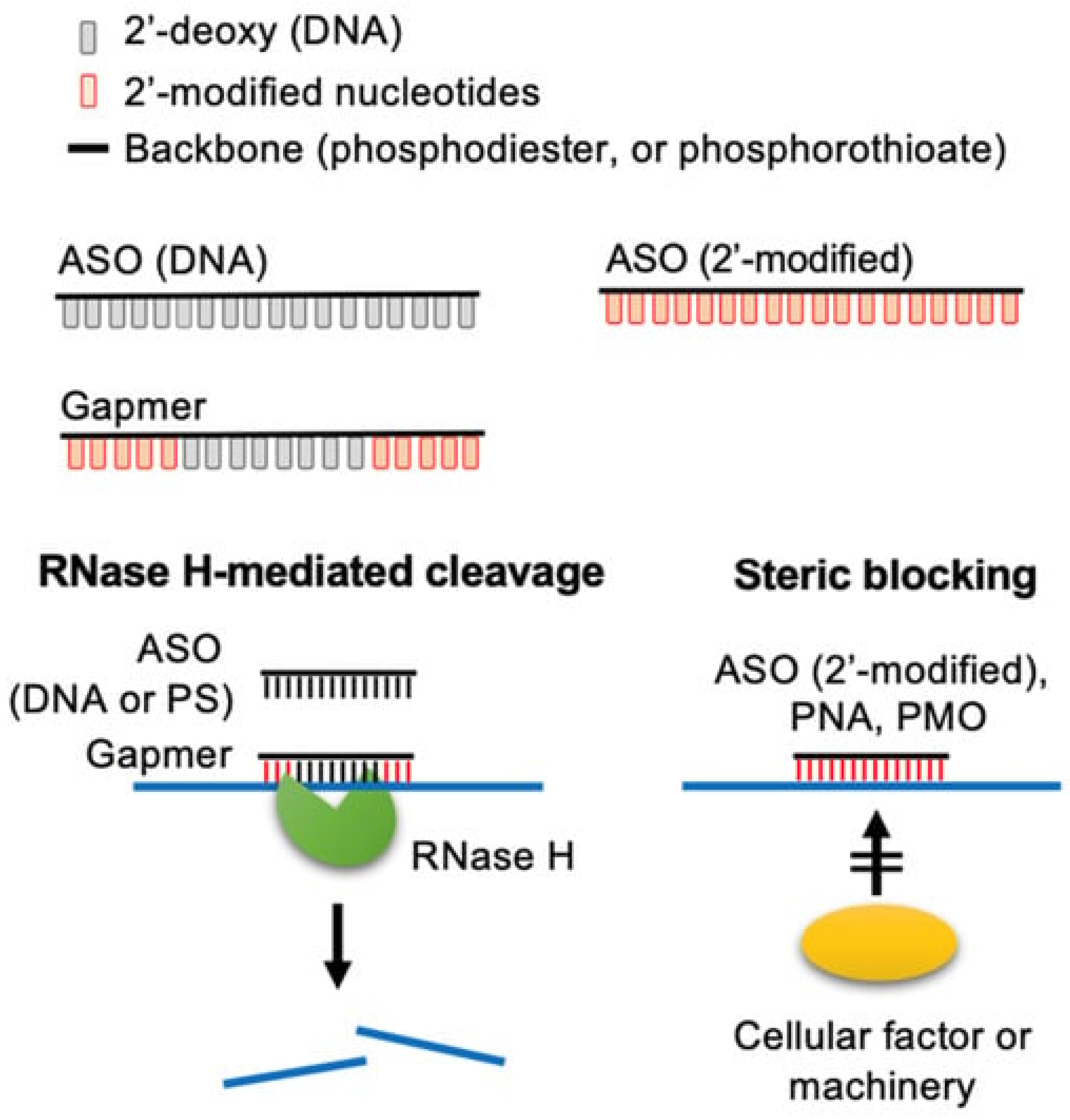 Pharmaceutics 17 00903 g004