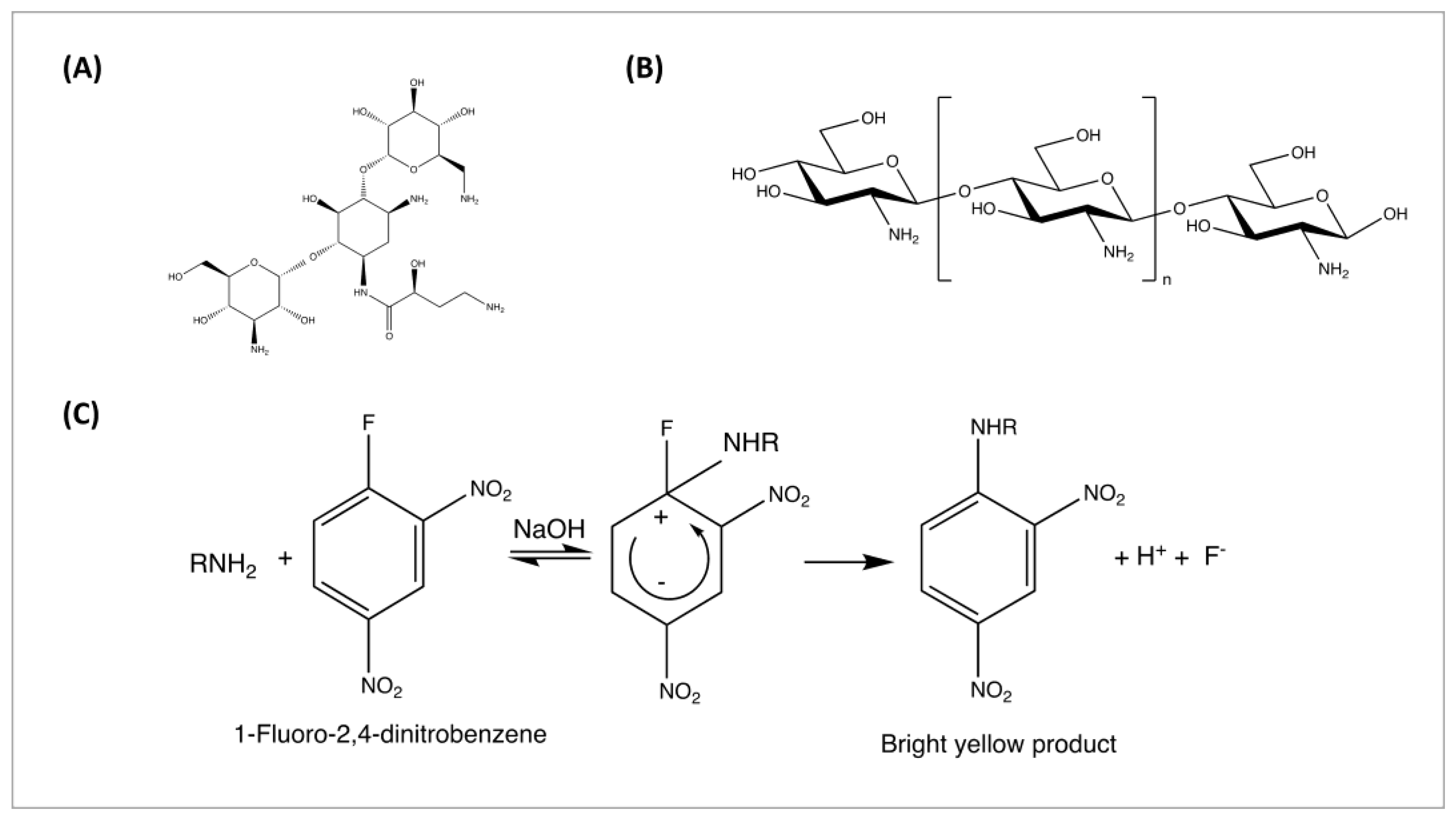 Pharmaceutics 17 00911 g001 Pharmaceutics 17 00911 g001