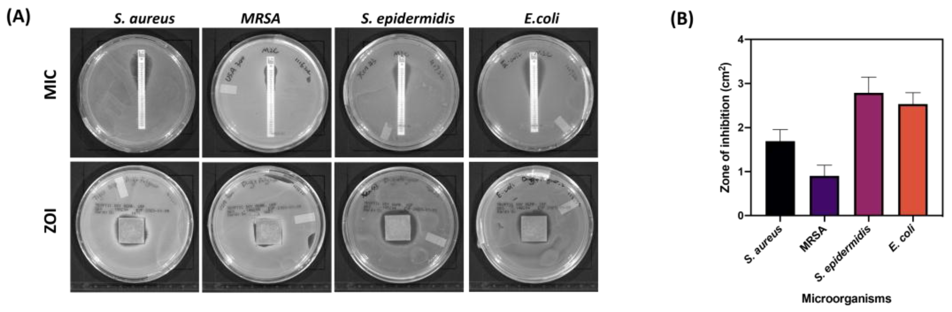 Pharmaceutics 17 00911 g010 Pharmaceutics 17 00911 g010