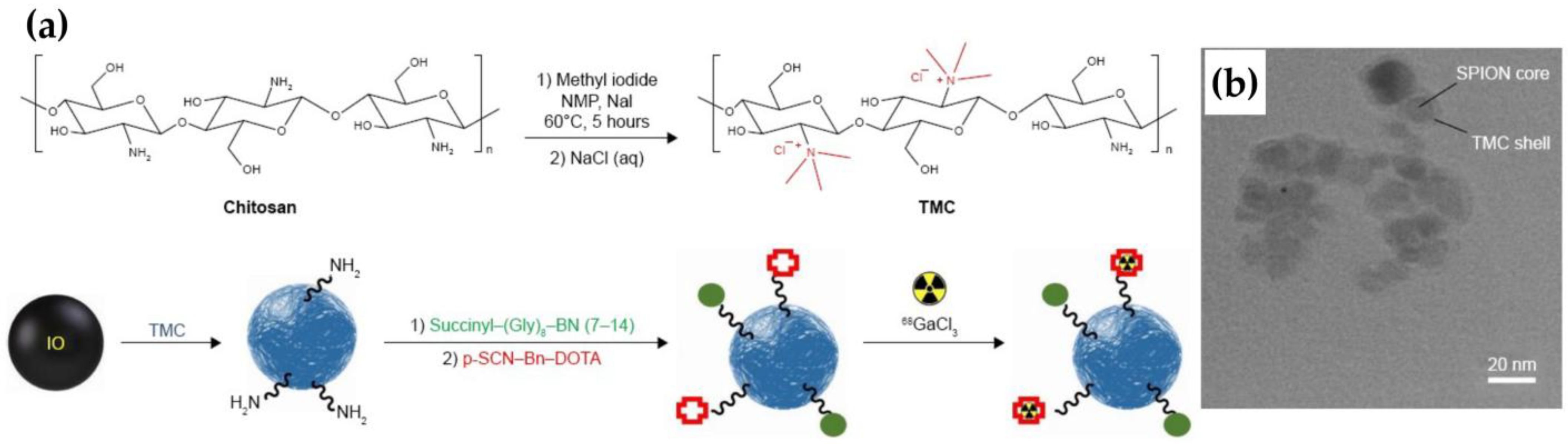 Pharmaceutics 17 00912 g011