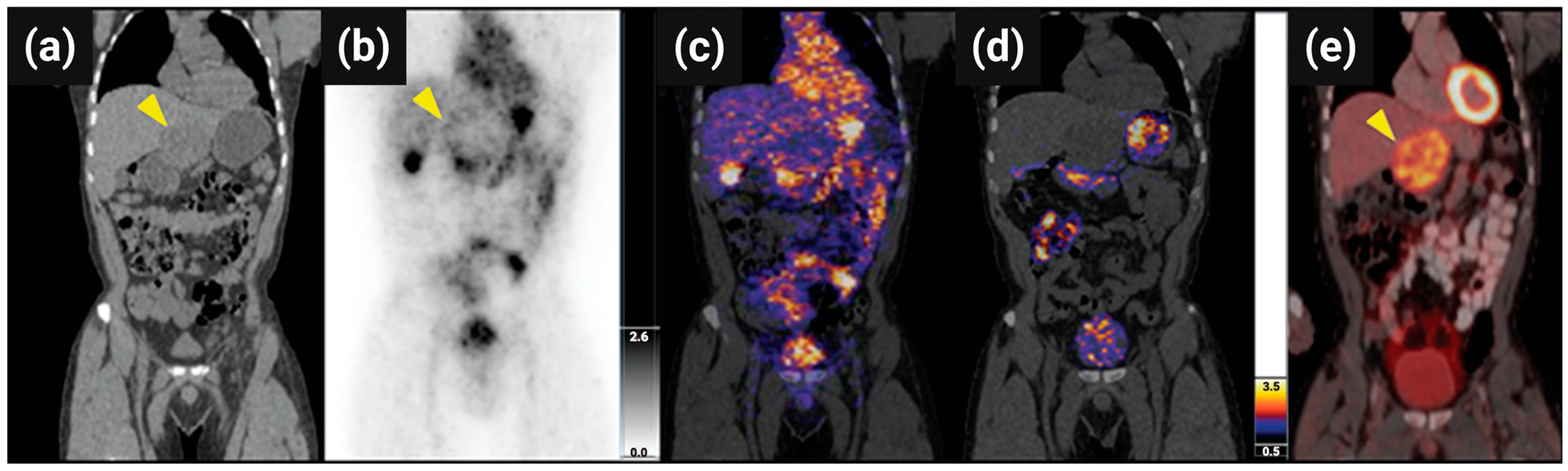 Pharmaceutics 17 00912 g013