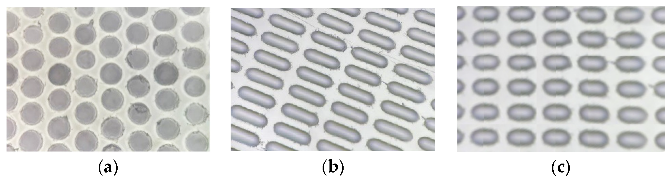 Pharmaceutics 17 00916 g001