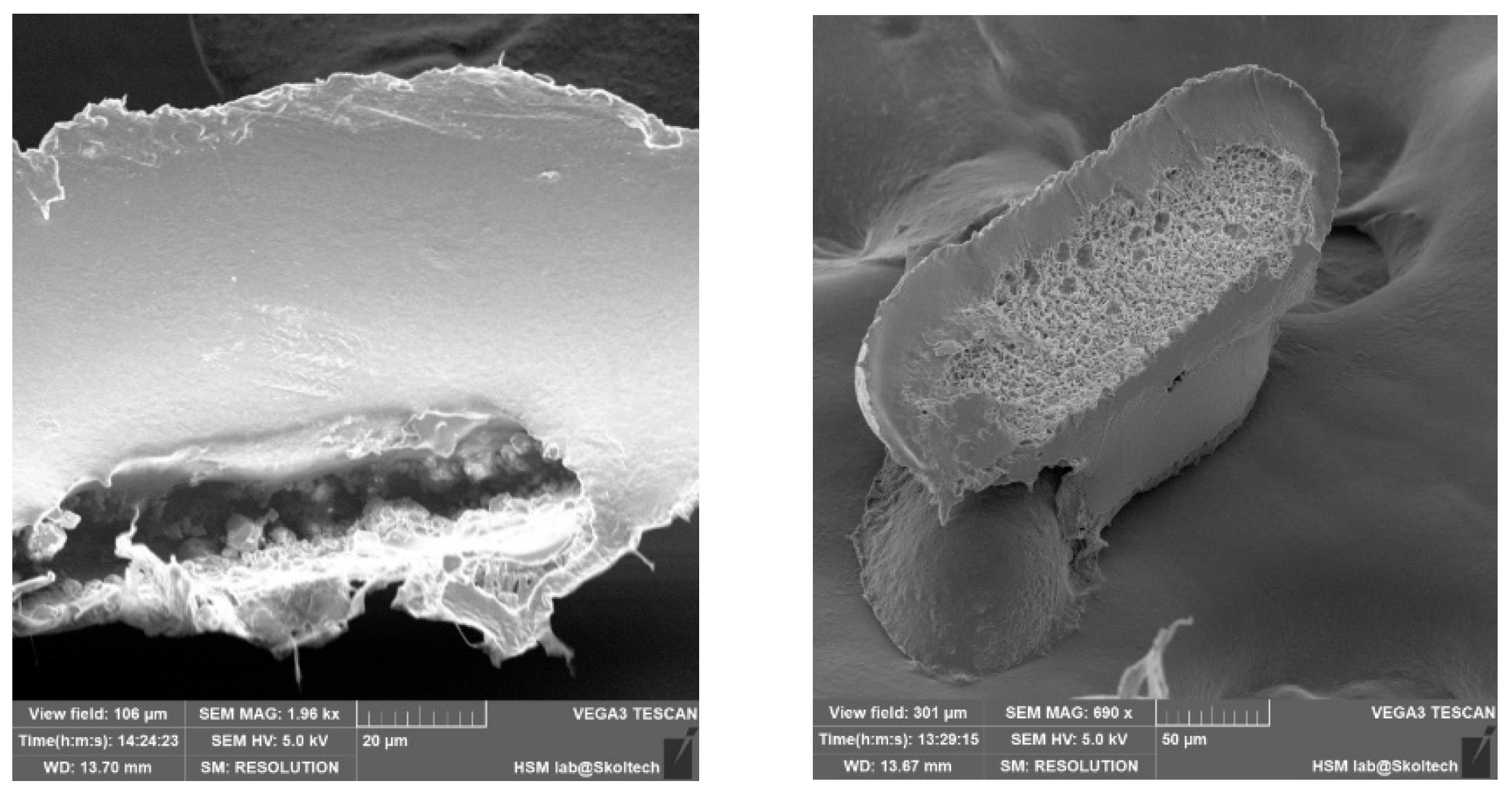 Pharmaceutics 17 00916 g006