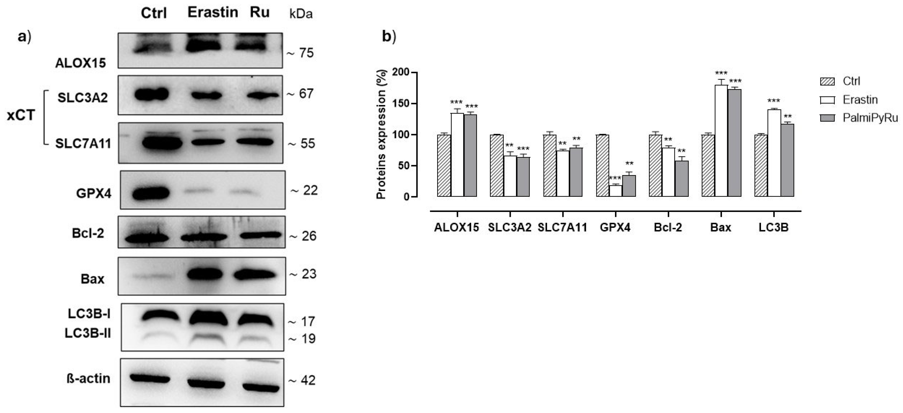 Pharmaceutics 17 00918 g006
