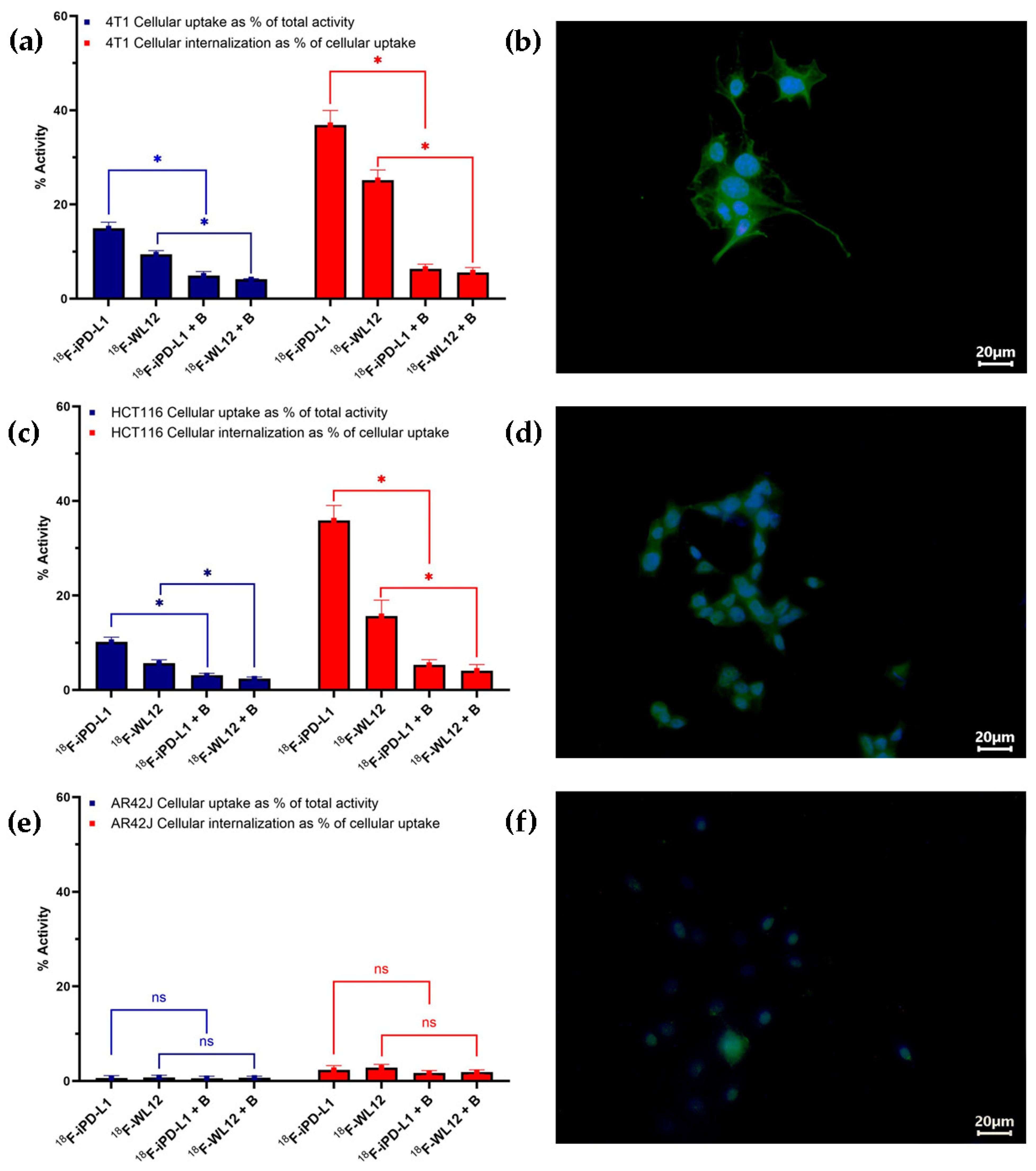 Pharmaceutics 17 00920 g007