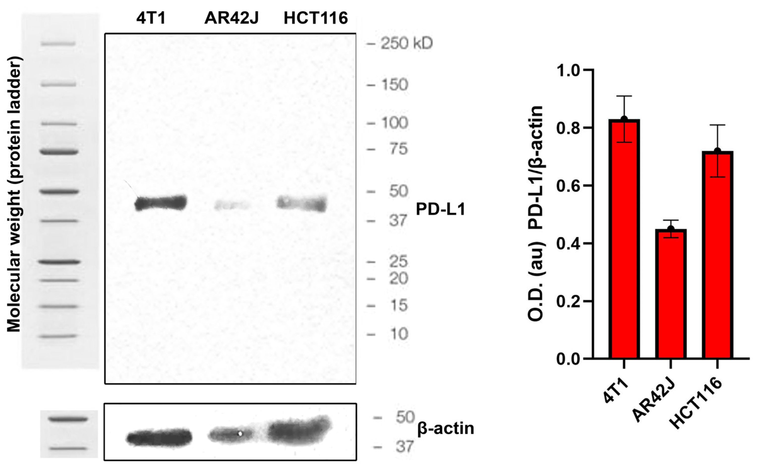 Pharmaceutics 17 00920 g008