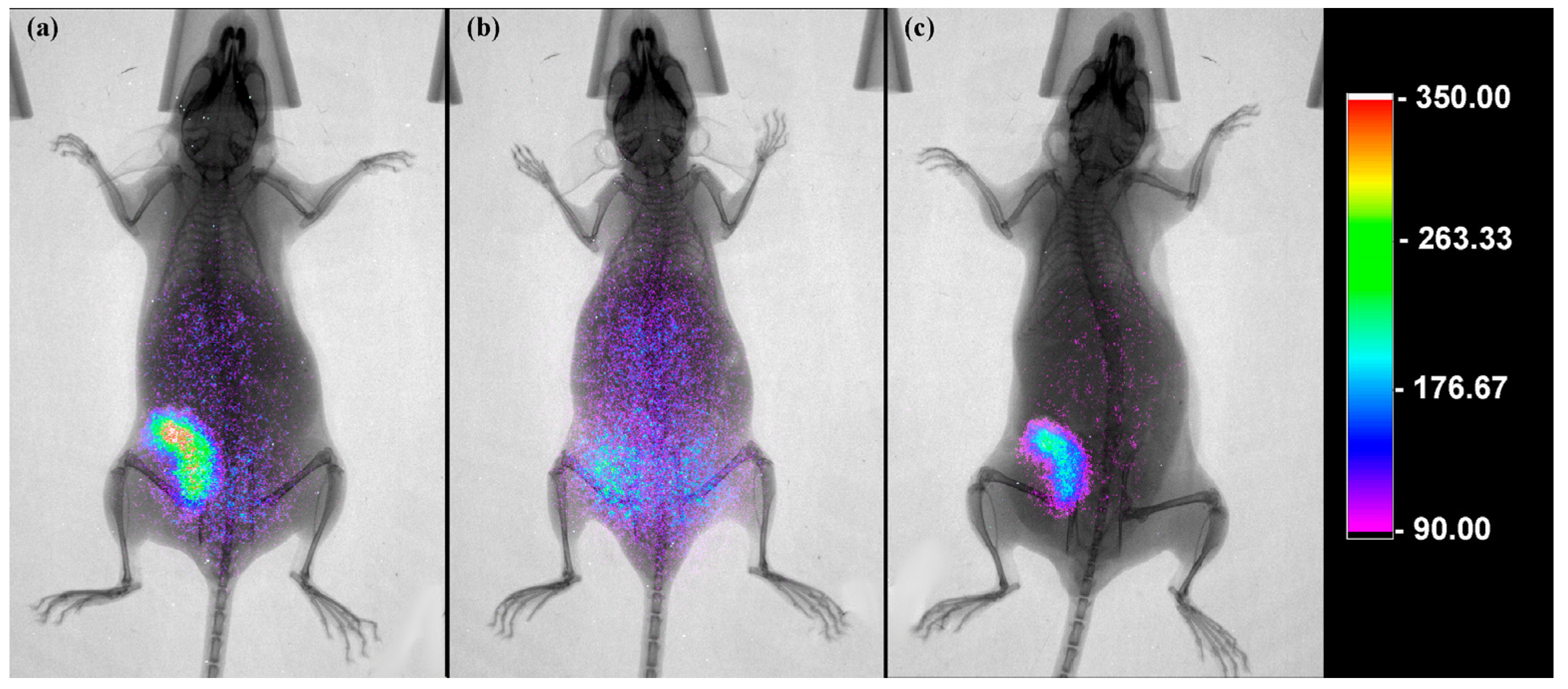 Pharmaceutics 17 00920 g009