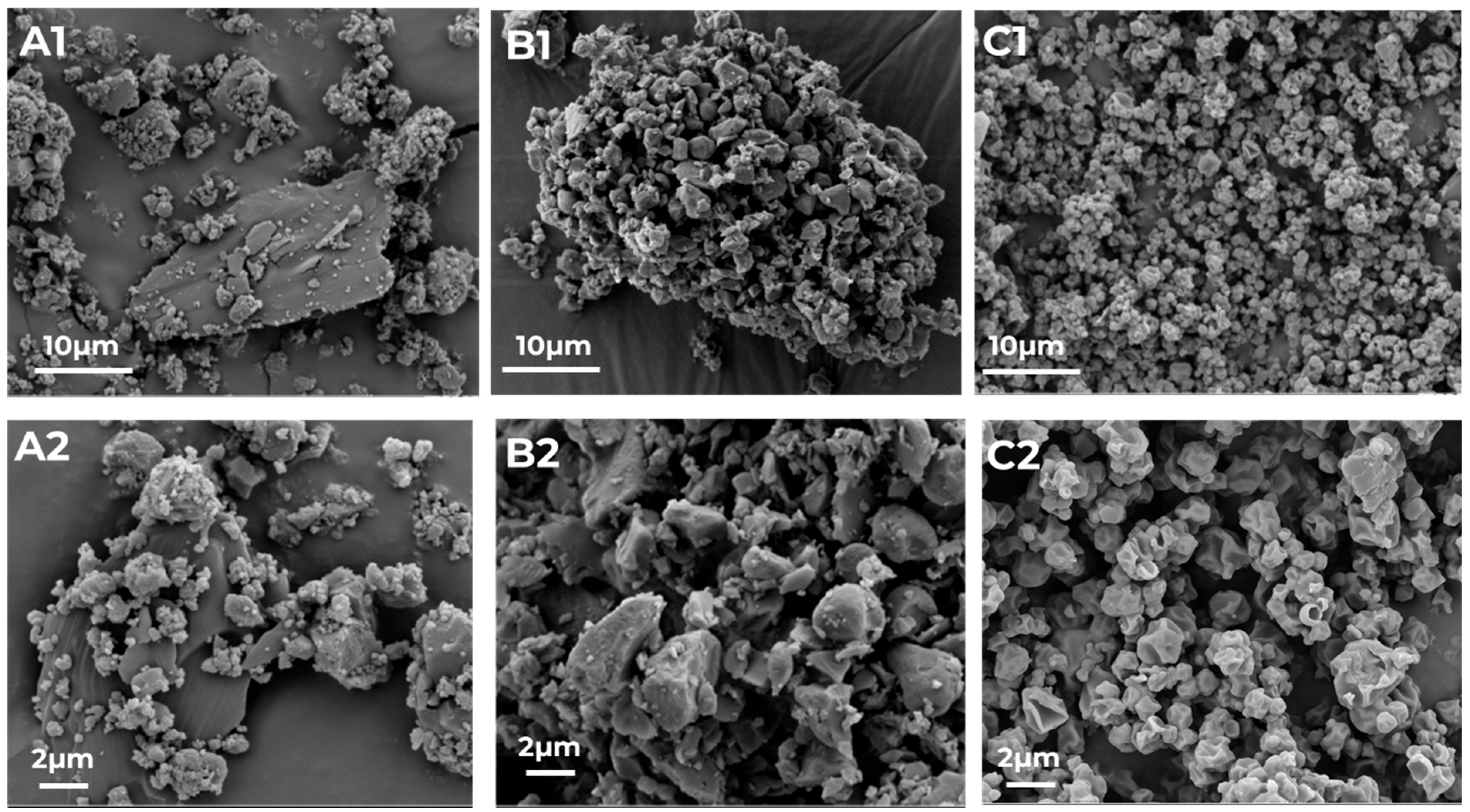 Pharmaceutics 17 00922 g002