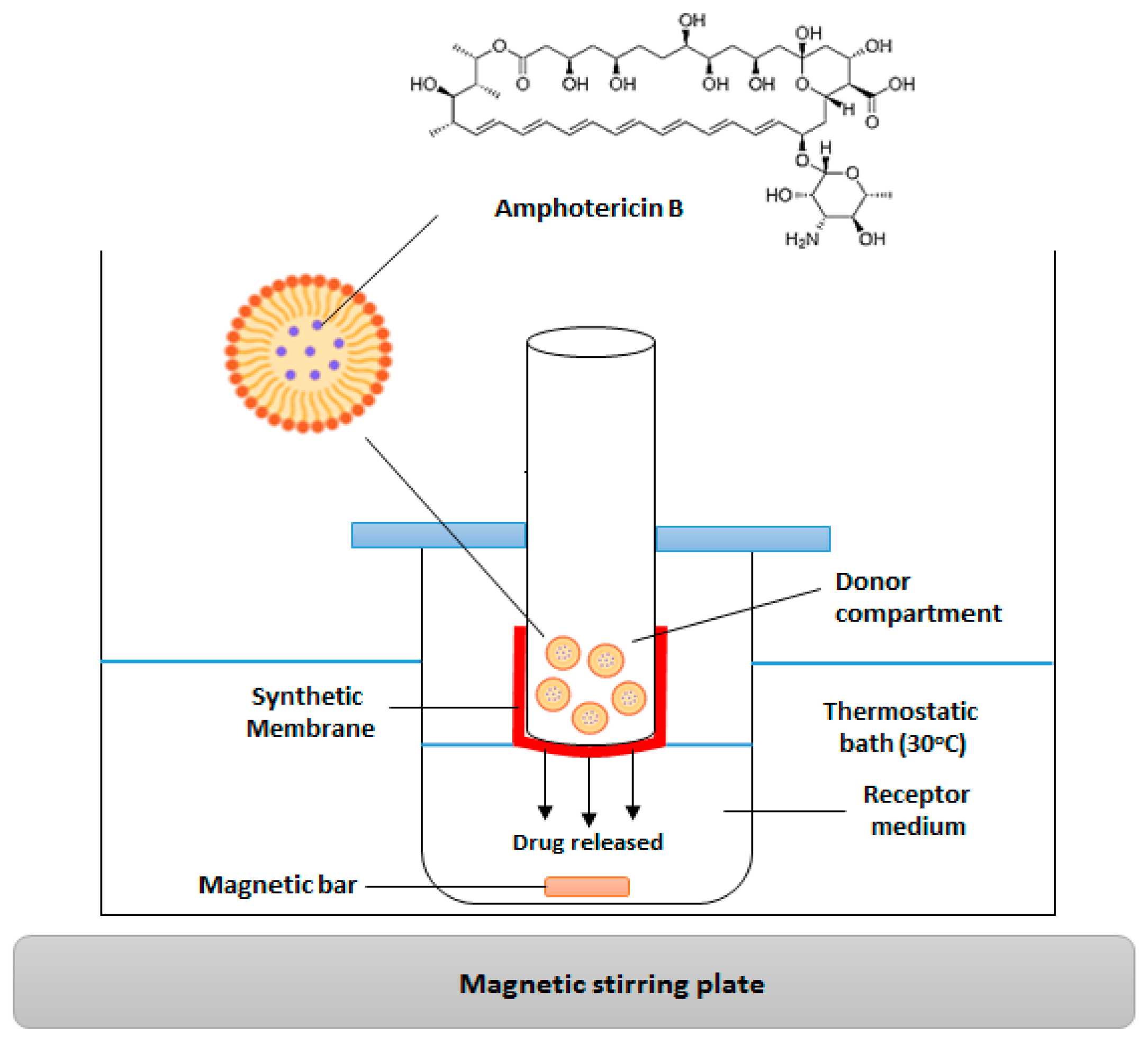 Pharmaceutics 17 00925 g002