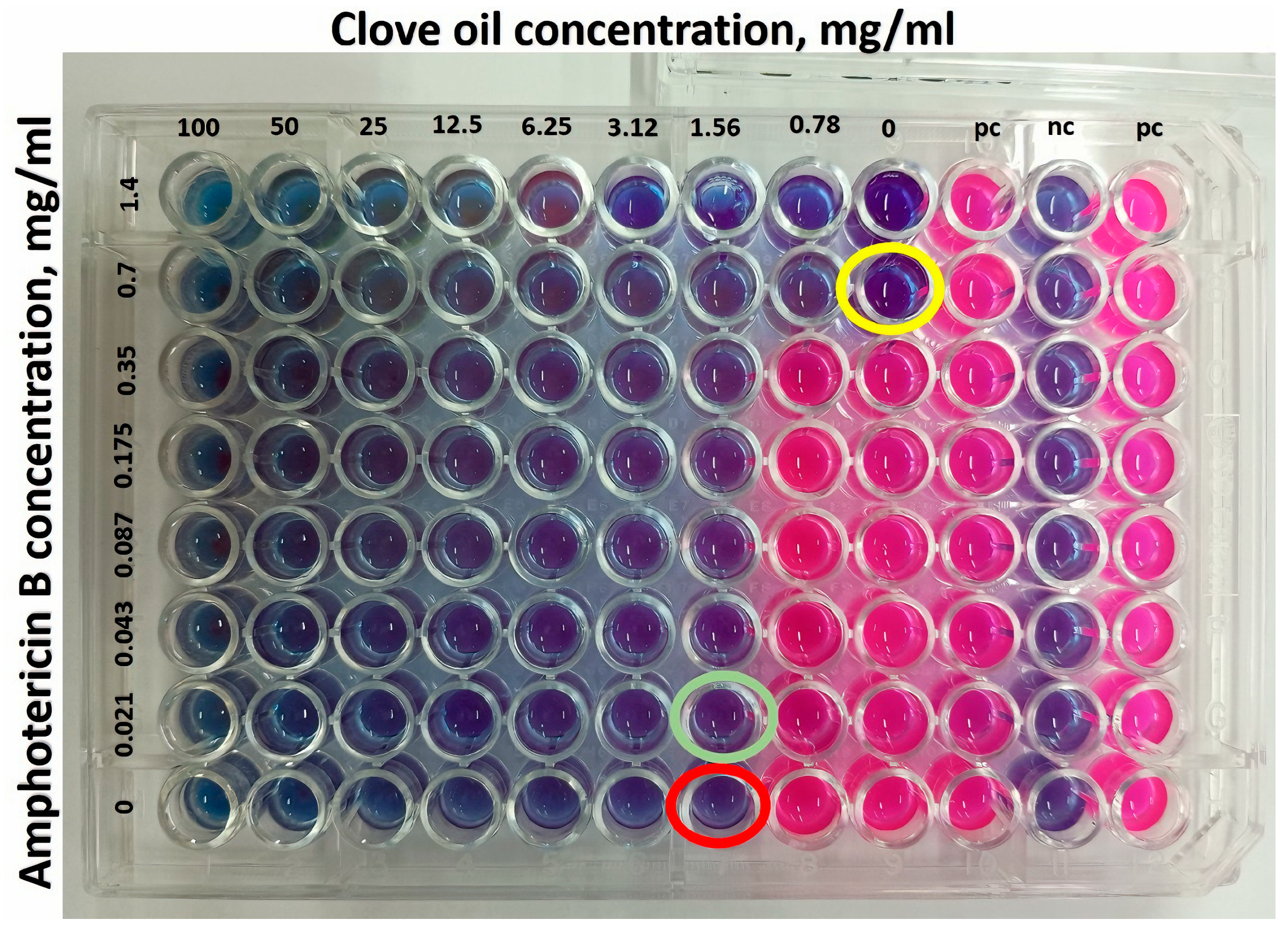 Pharmaceutics 17 00925 g010
