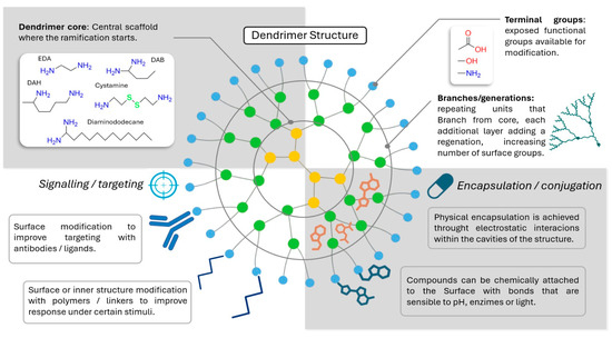 Predication and Modification: A Minimal… From Structure to Function: The Promise of PAMAM Dendrimers