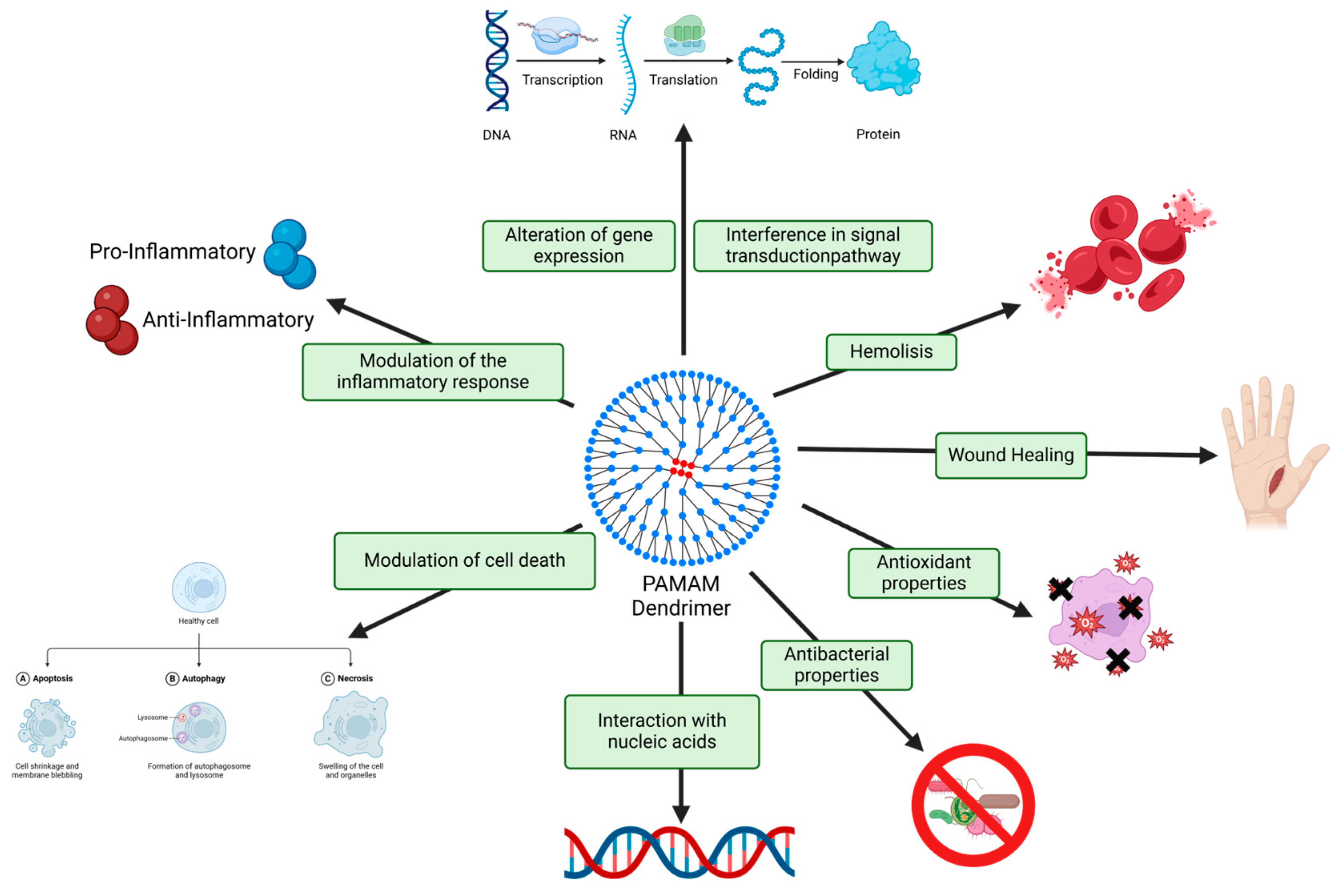 Pharmaceutics 17 00927 g003