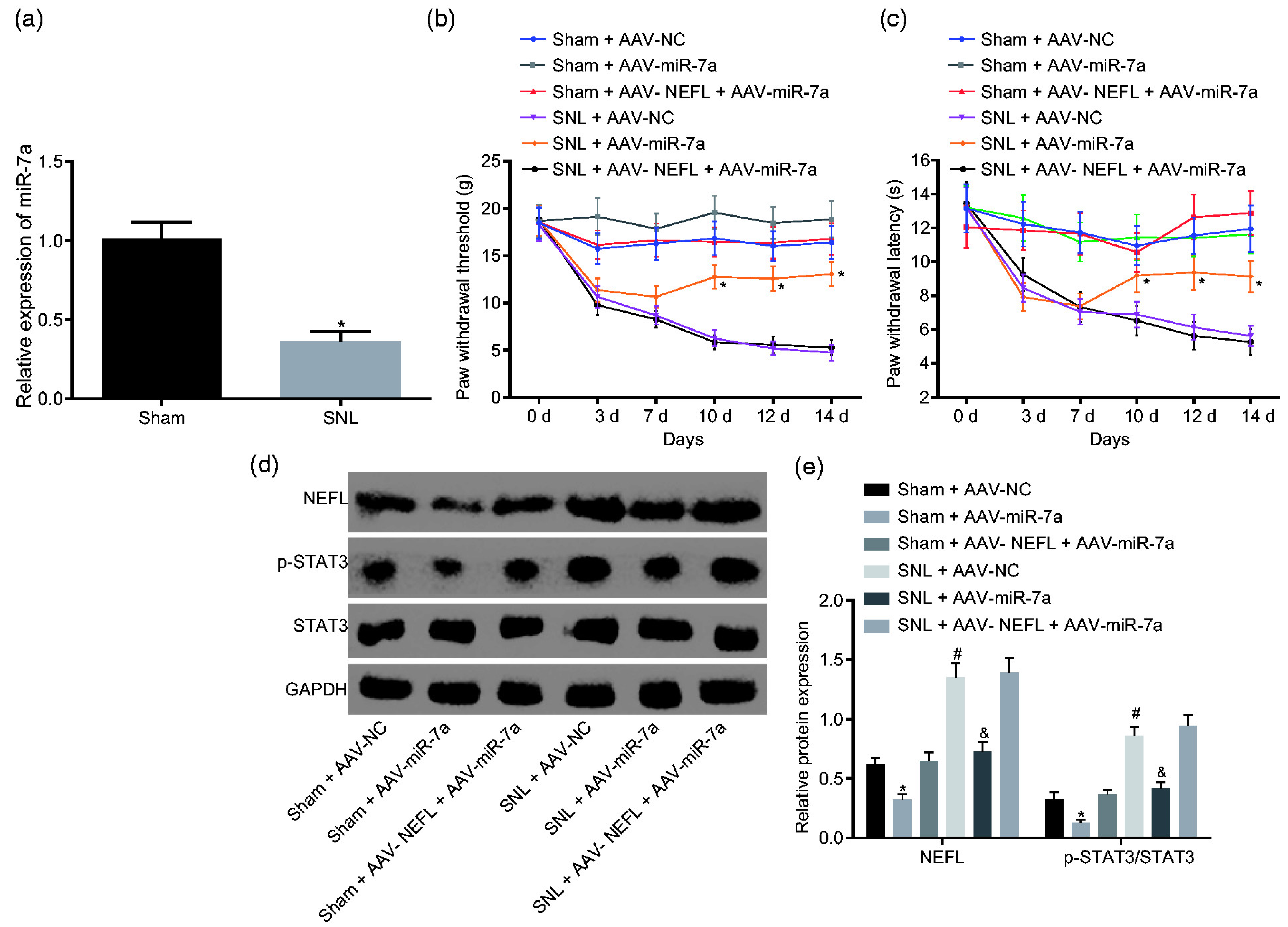 Pharmaceutics 17 00930 g004