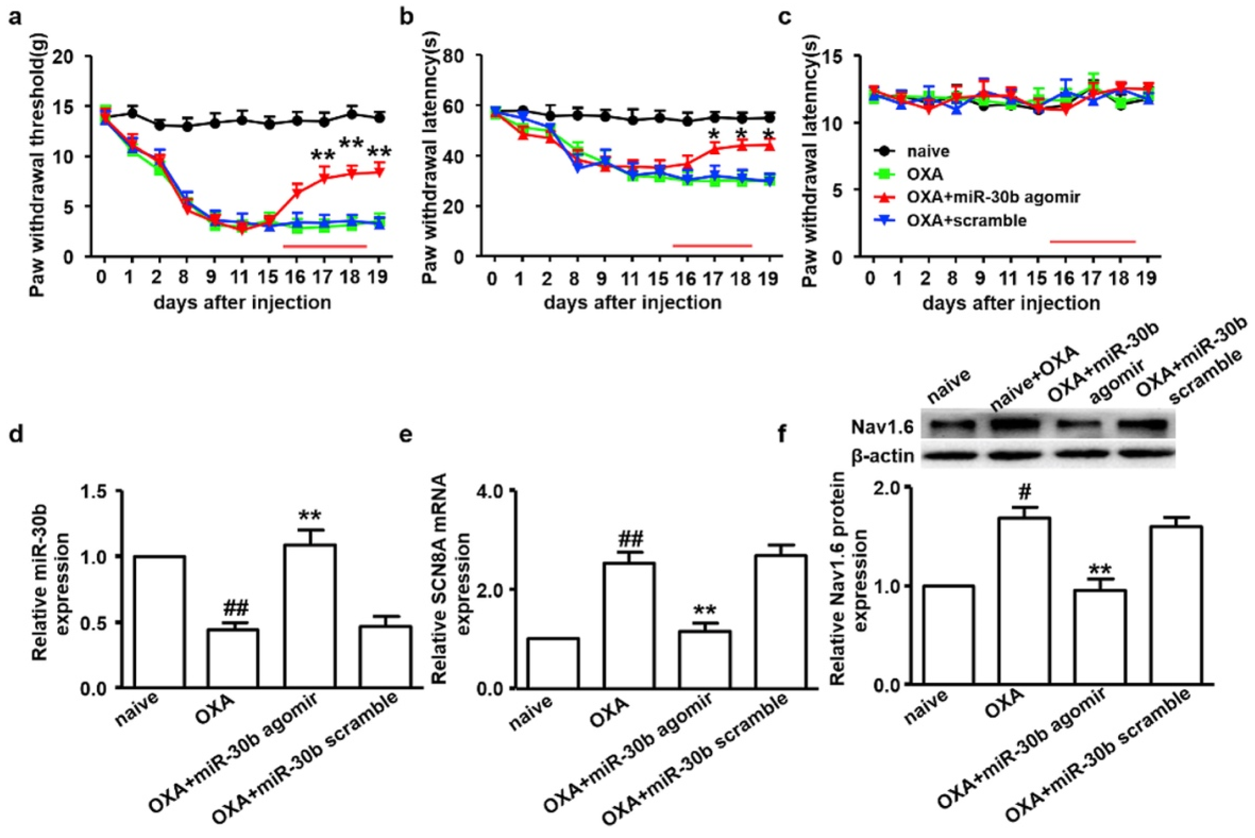 Pharmaceutics 17 00930 g007