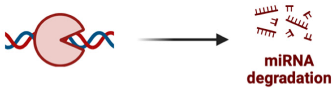 Pharmaceutics 17 00930 i007