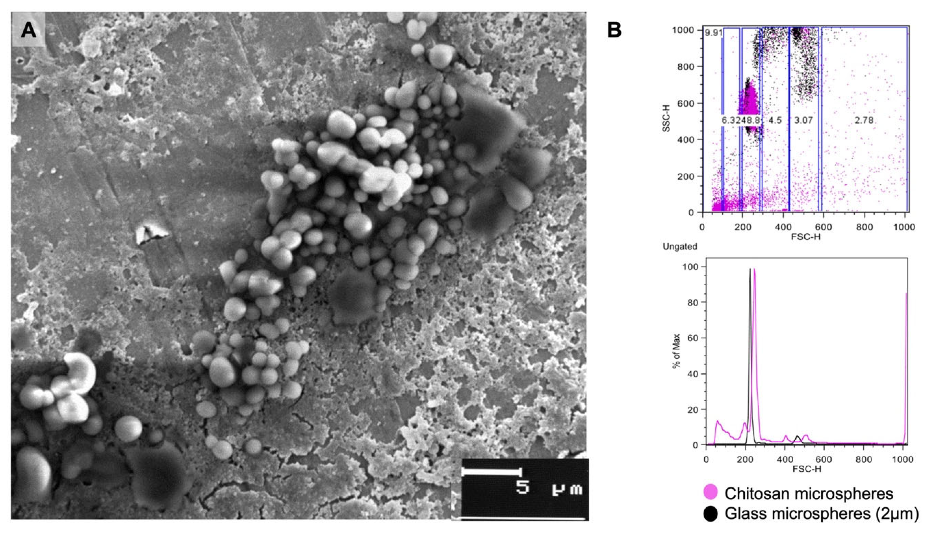 Pharmaceutics 17 00932 g001