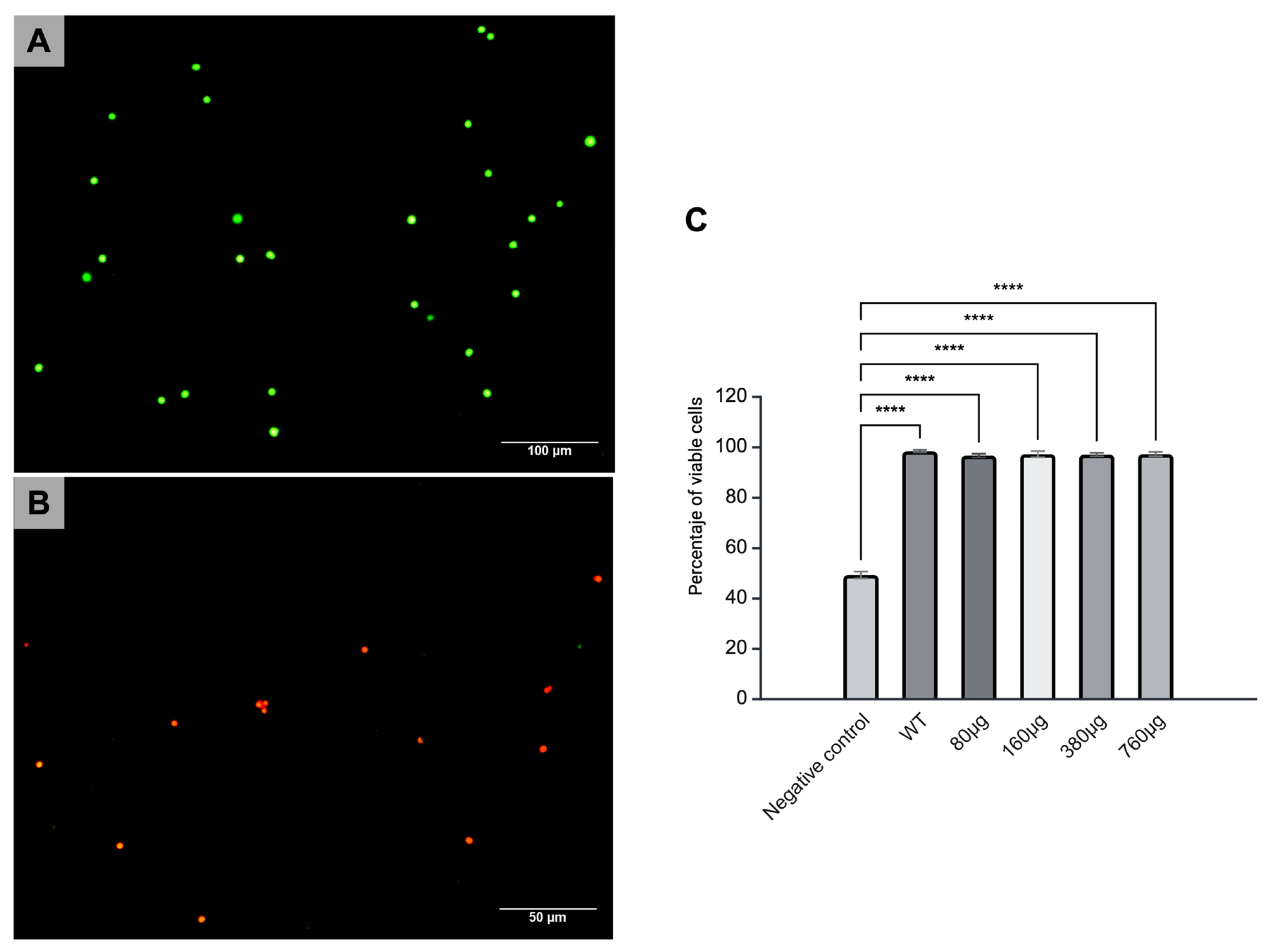 Pharmaceutics 17 00932 g002