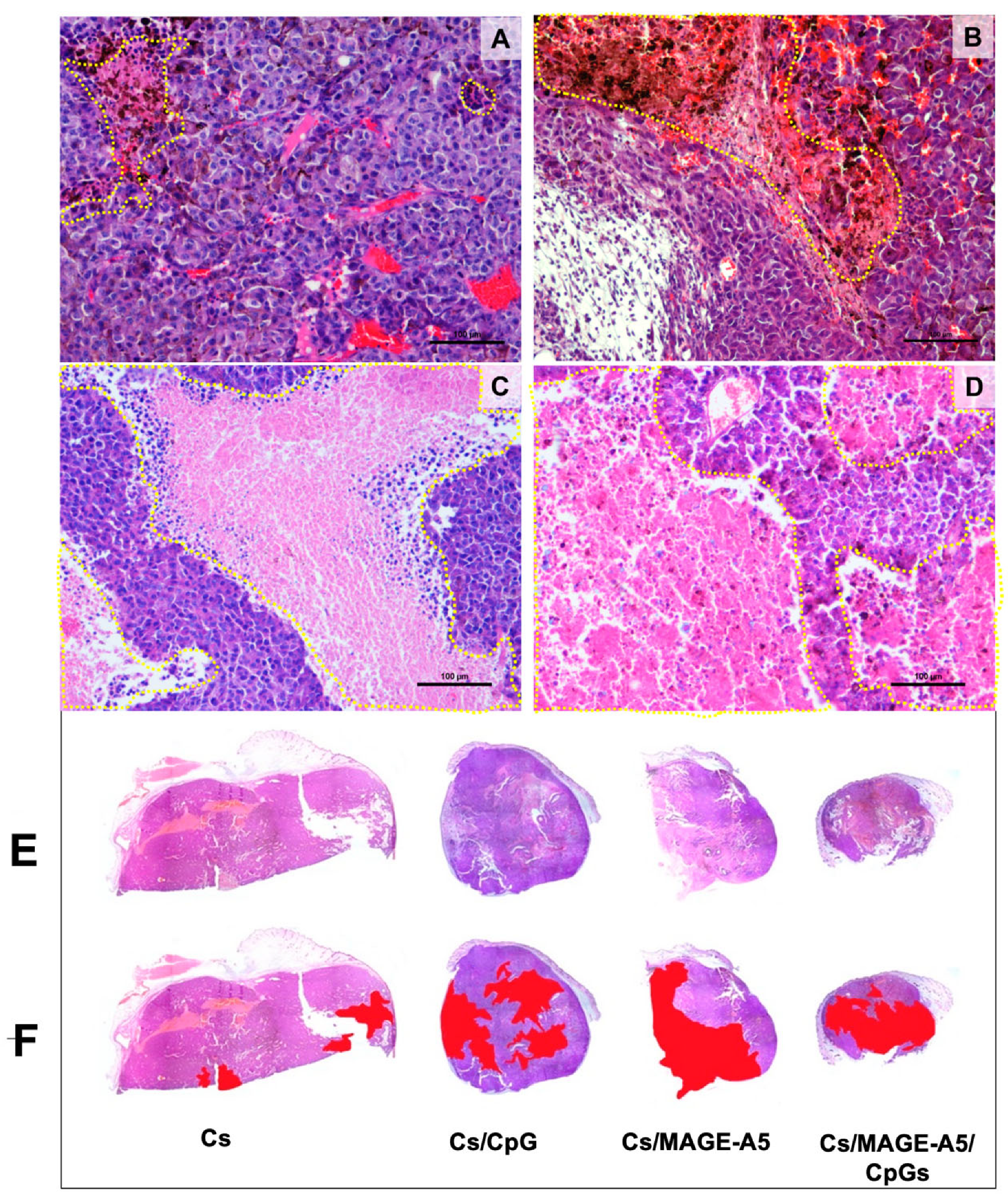 Pharmaceutics 17 00932 g005
