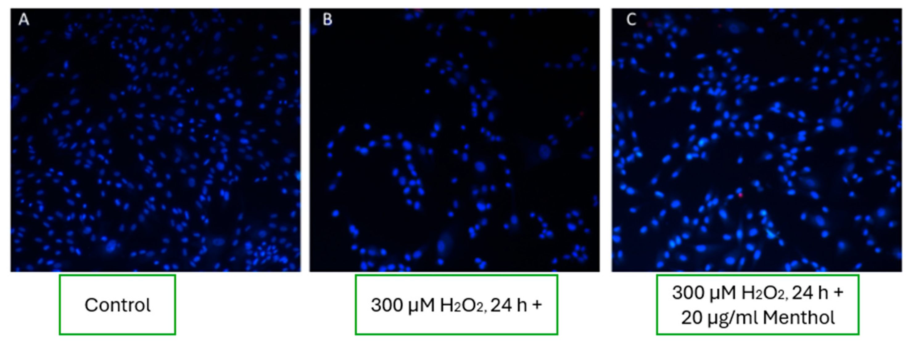 Pharmaceutics 17 00933 g007