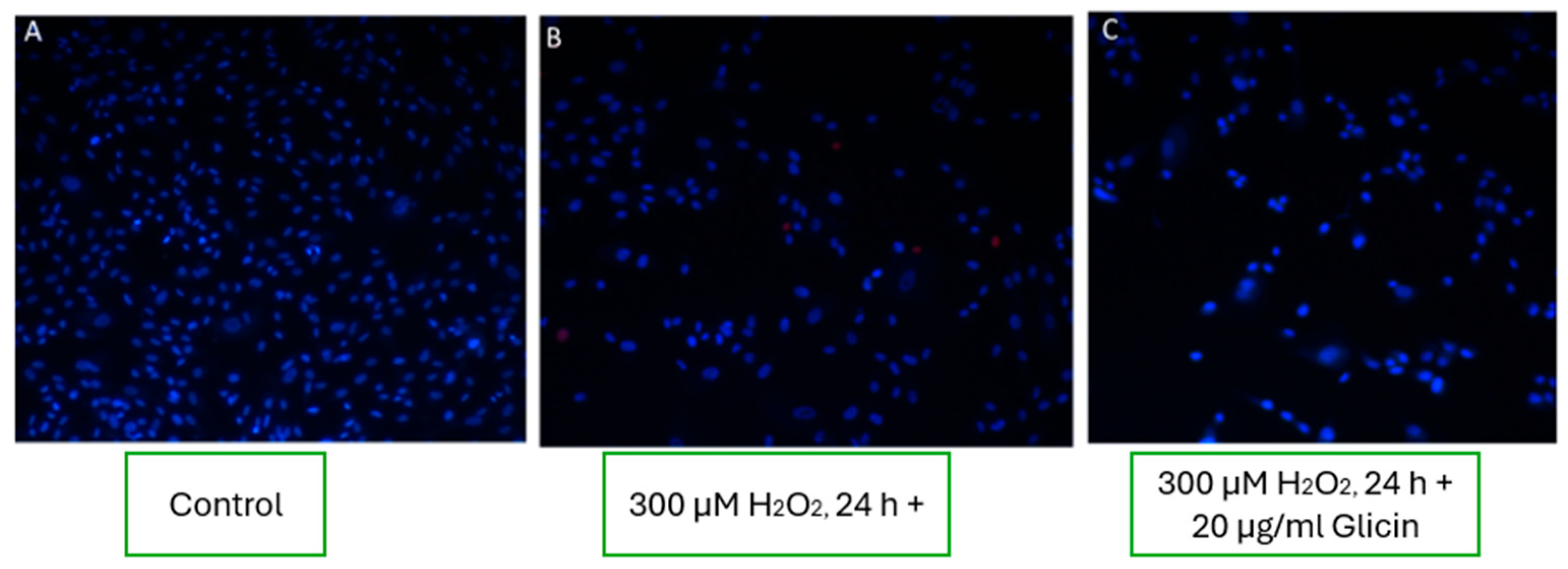 Pharmaceutics 17 00933 g008