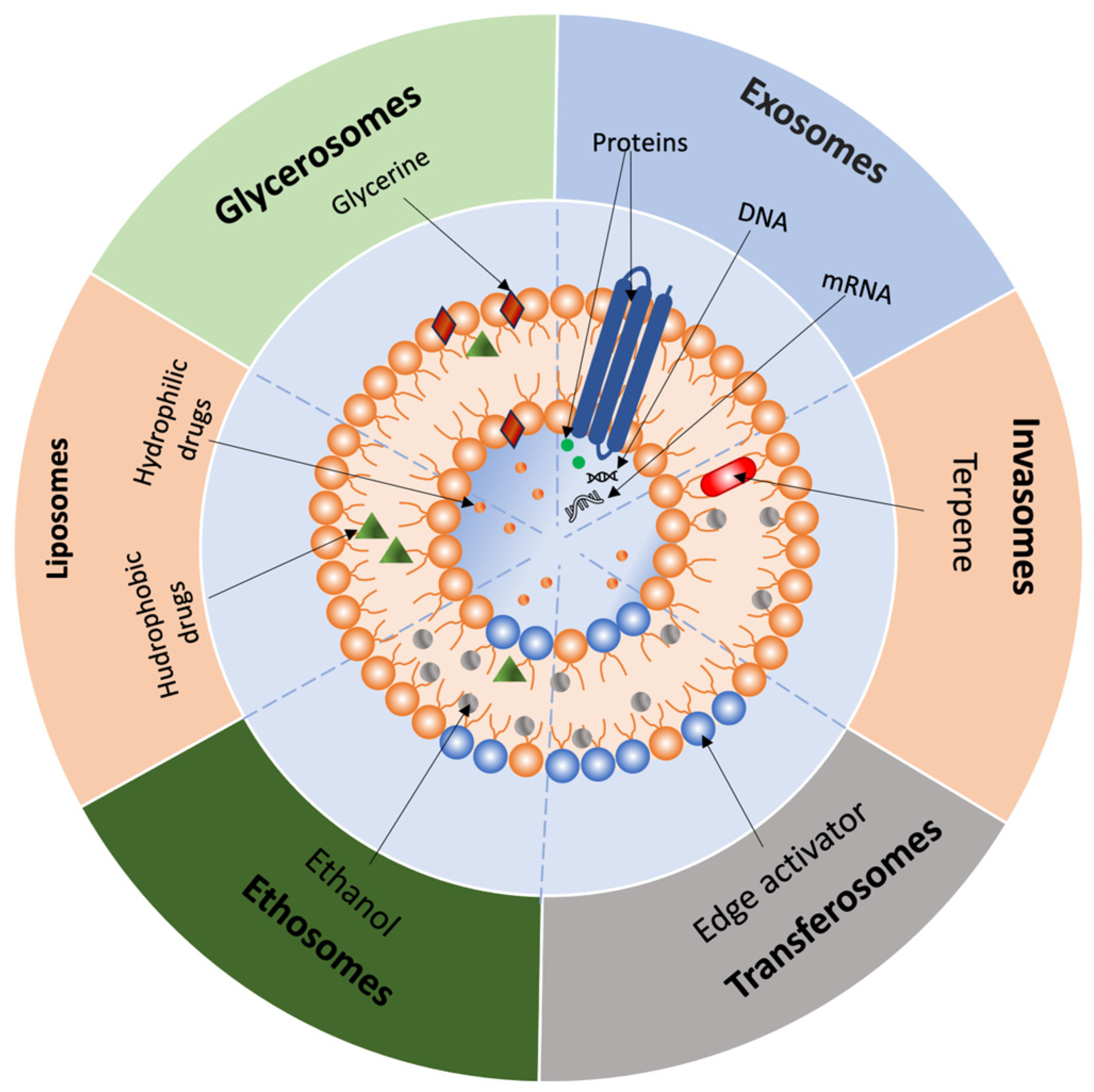 Pharmaceutics 17 00936 g003
