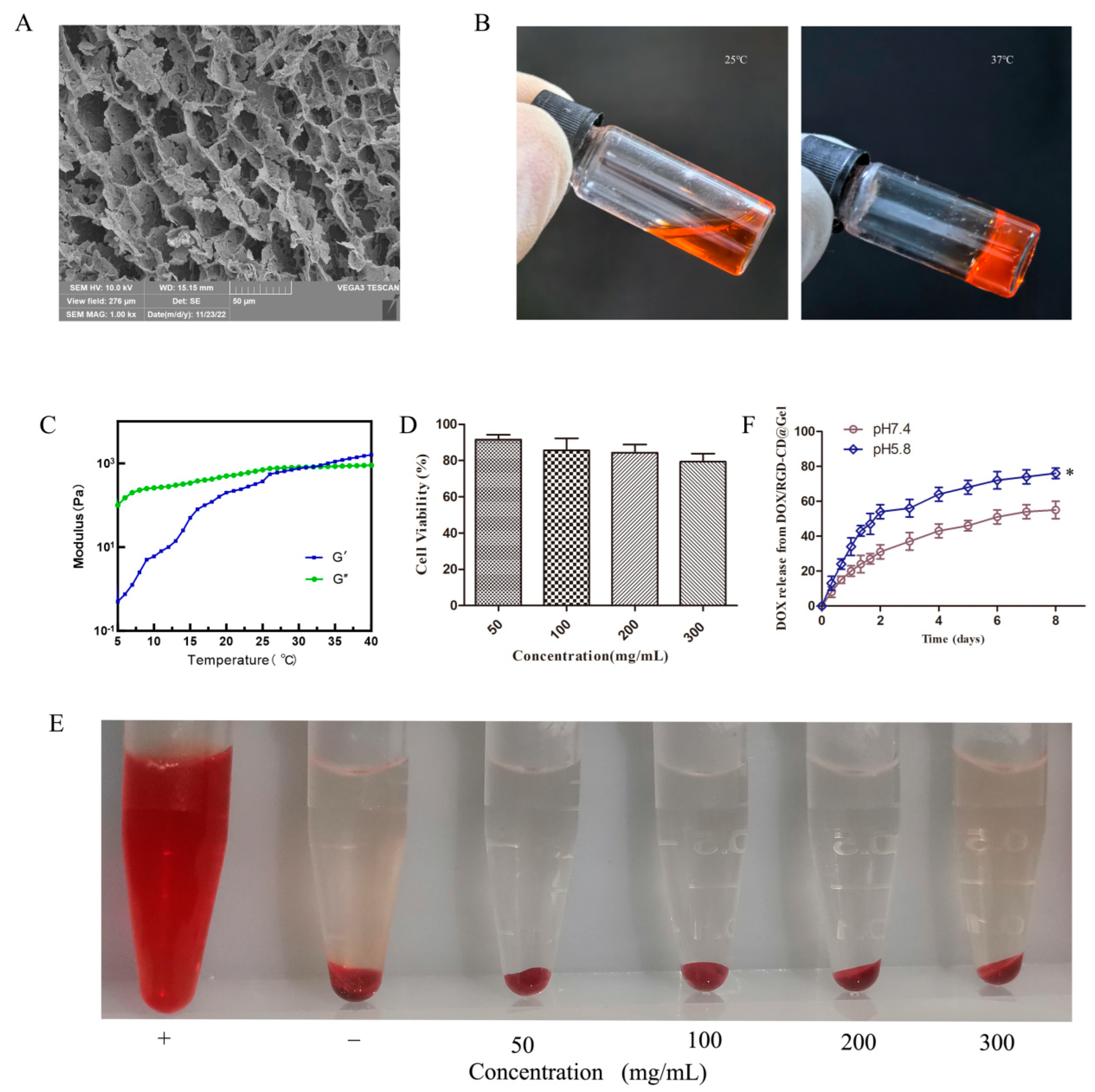 Pharmaceutics 17 00938 g004