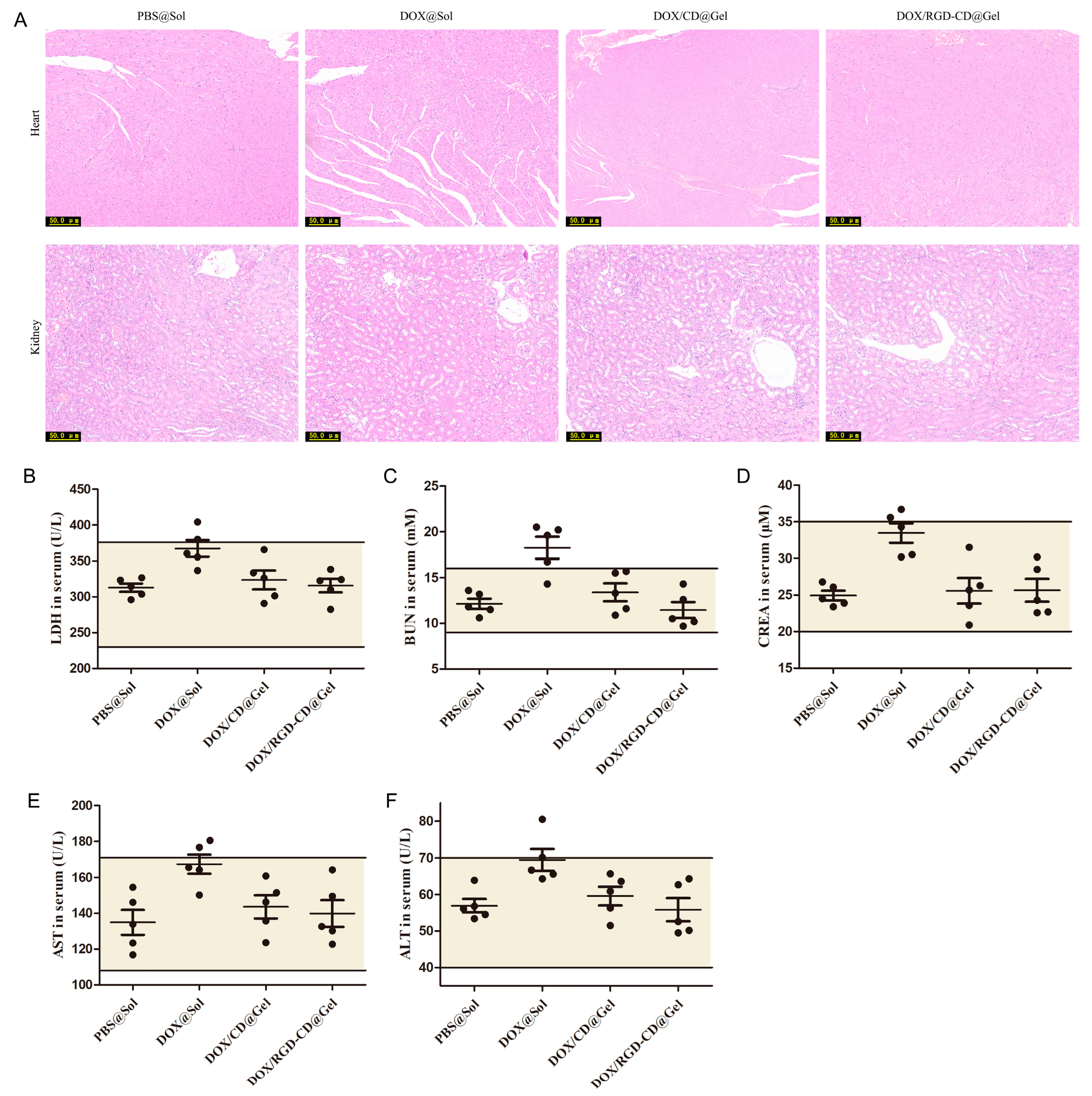 Pharmaceutics 17 00938 g007
