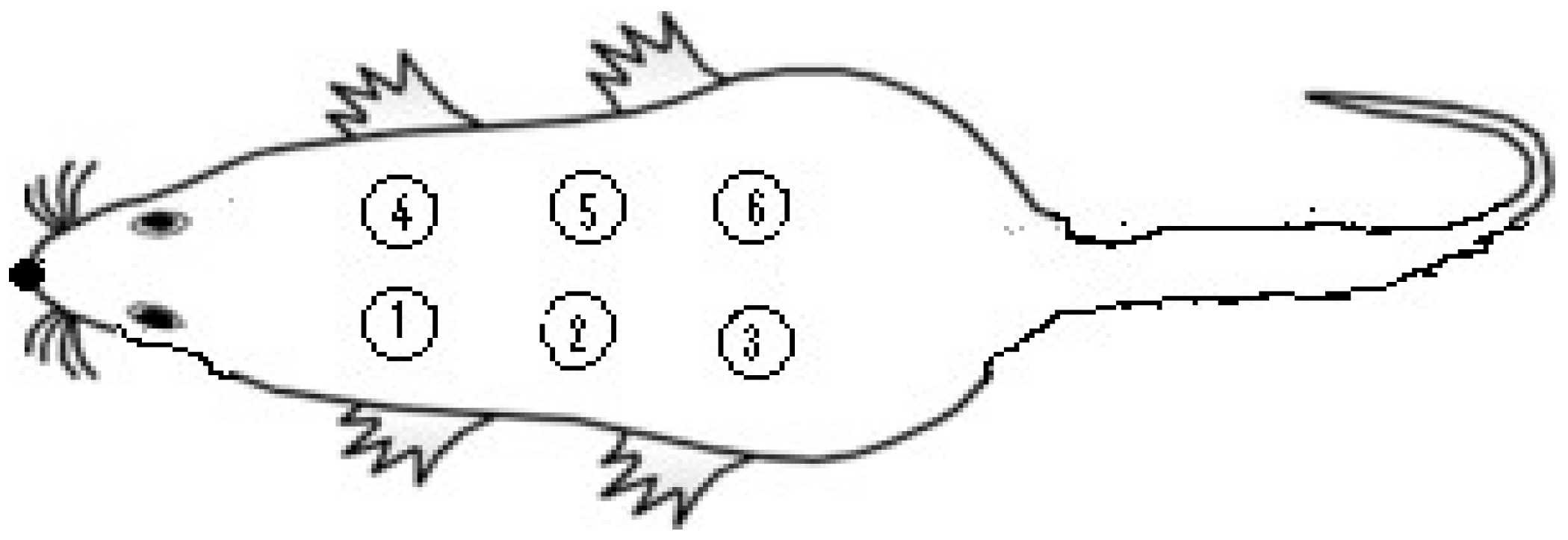 Pharmaceutics 17 00941 g001