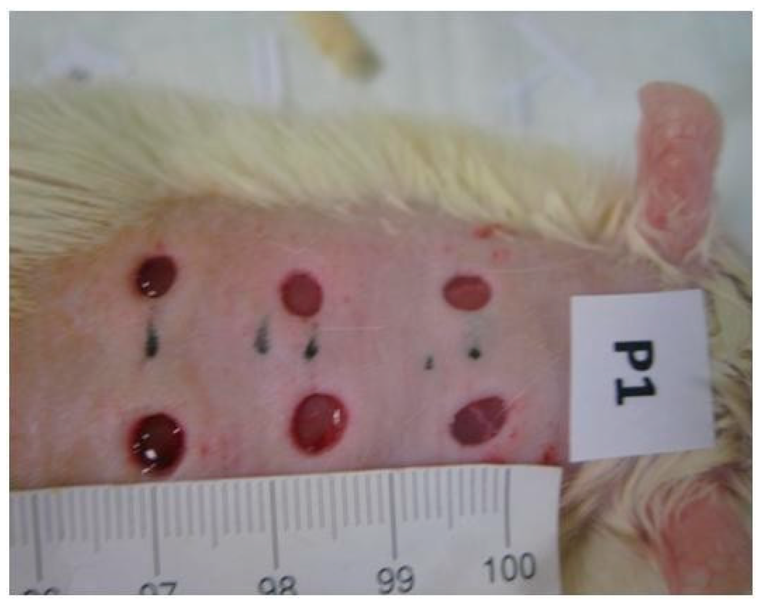 Pharmaceutics 17 00941 g002