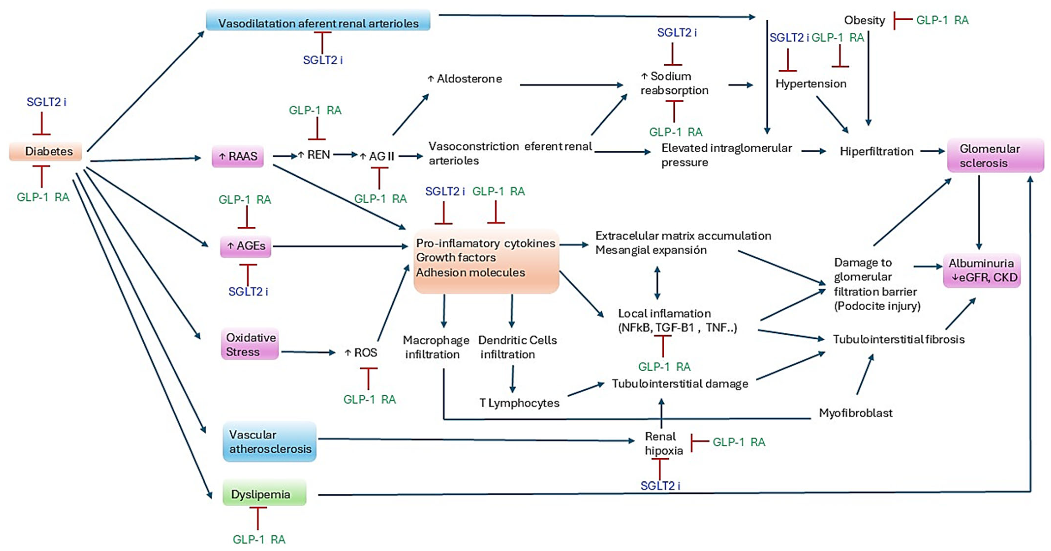 Pharmaceutics 17 00943 g005