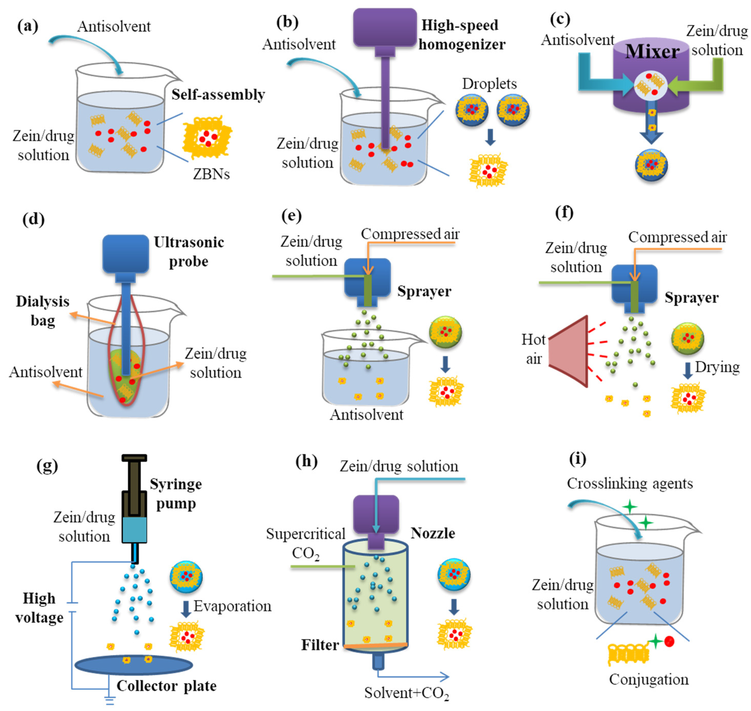Zein-Based Nanocarriers: Advances in Oral Drug Delivery