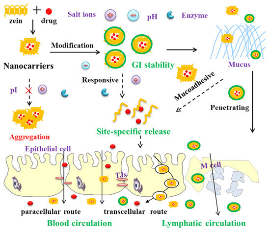 Zein-Based Nanocarriers: Advances in Oral Drug Delivery