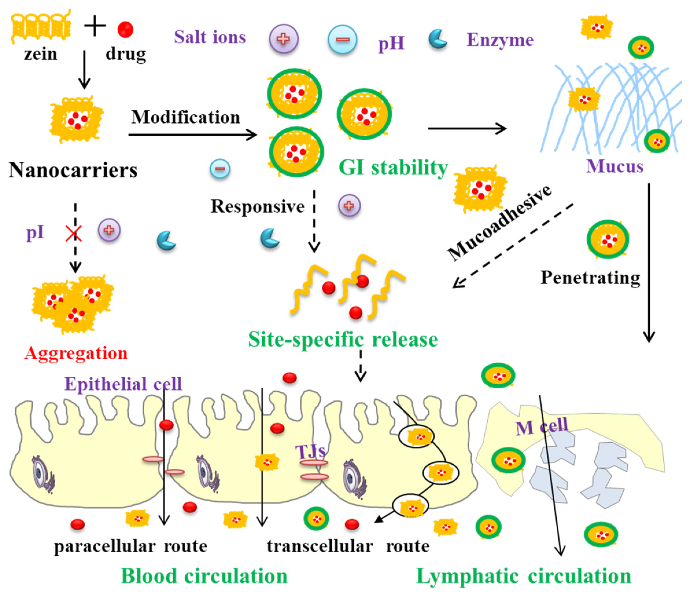 Pharmaceutics 17 00944 g004